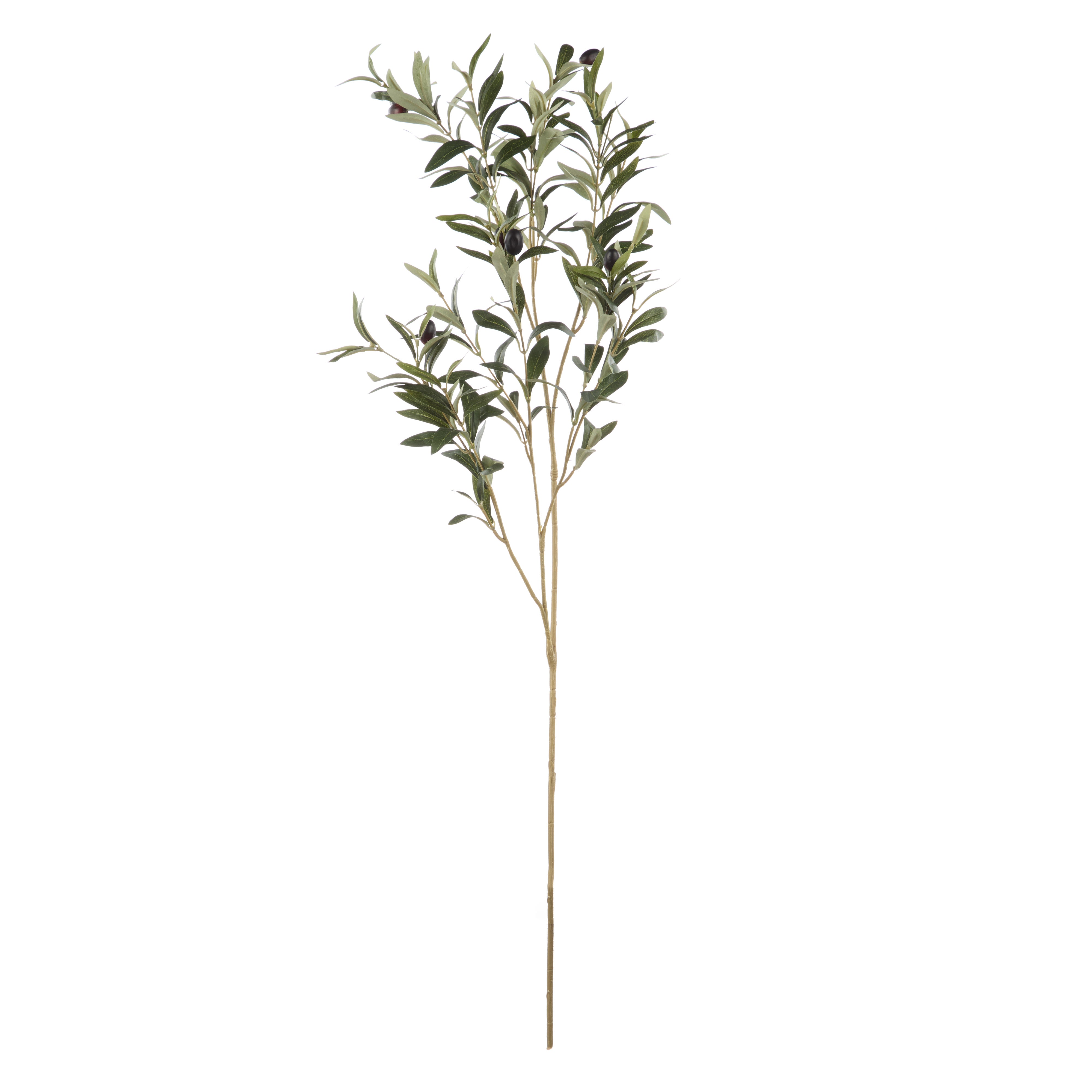 Rogue Olive Spray 105cm