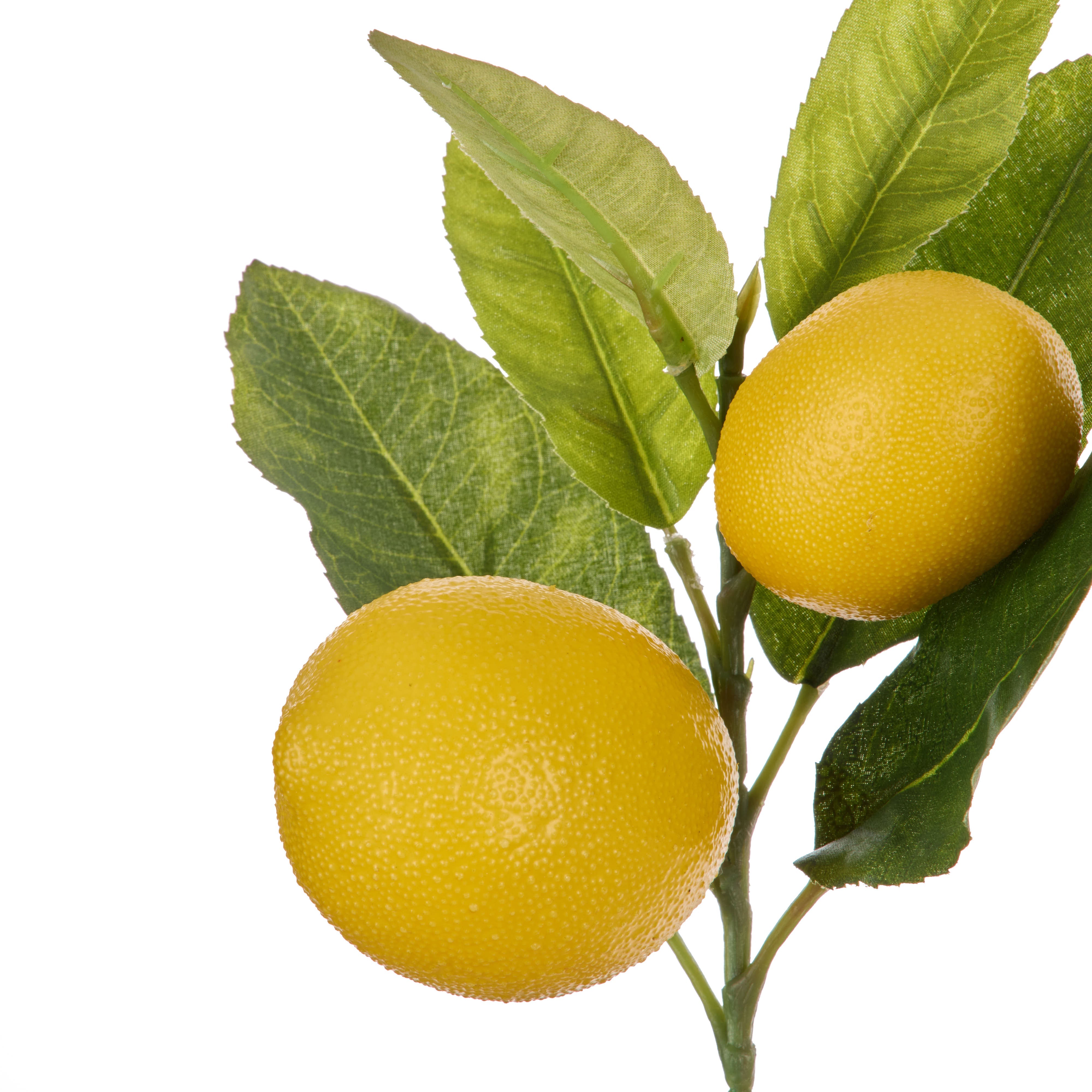 Rogue Lemon Spray with Leaves