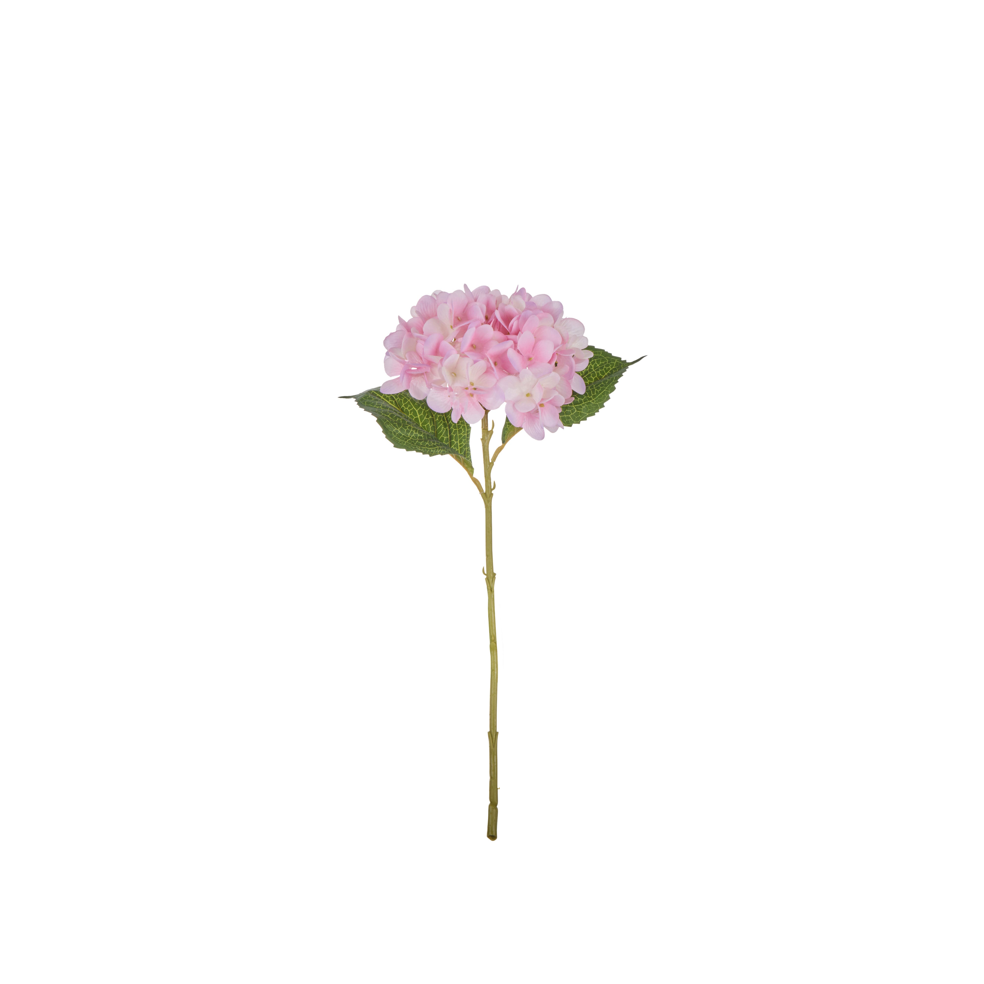 Rogue Hydrangea Stem Pink 46cm