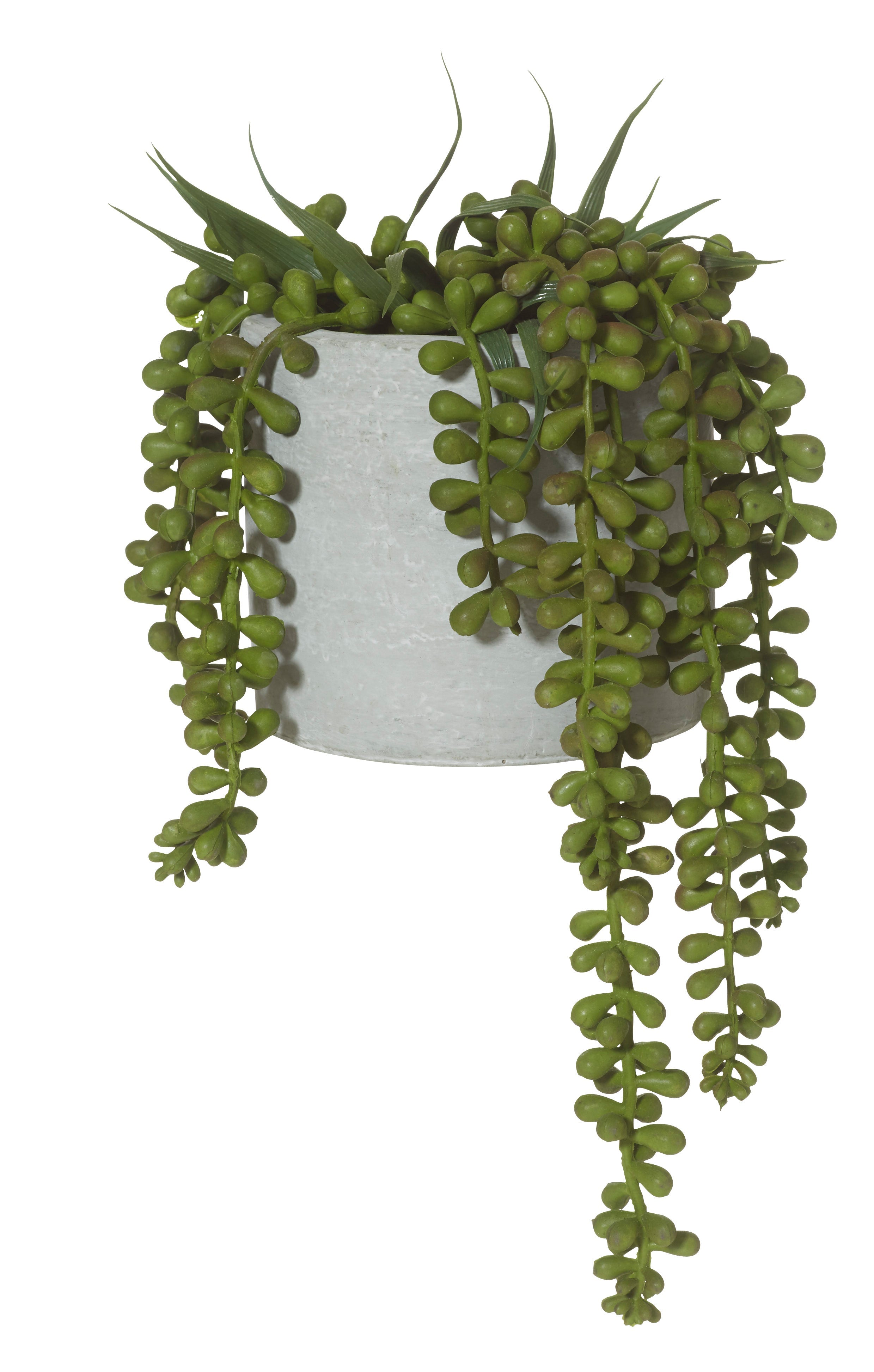 Rogue String of Pearls - Cement Pot