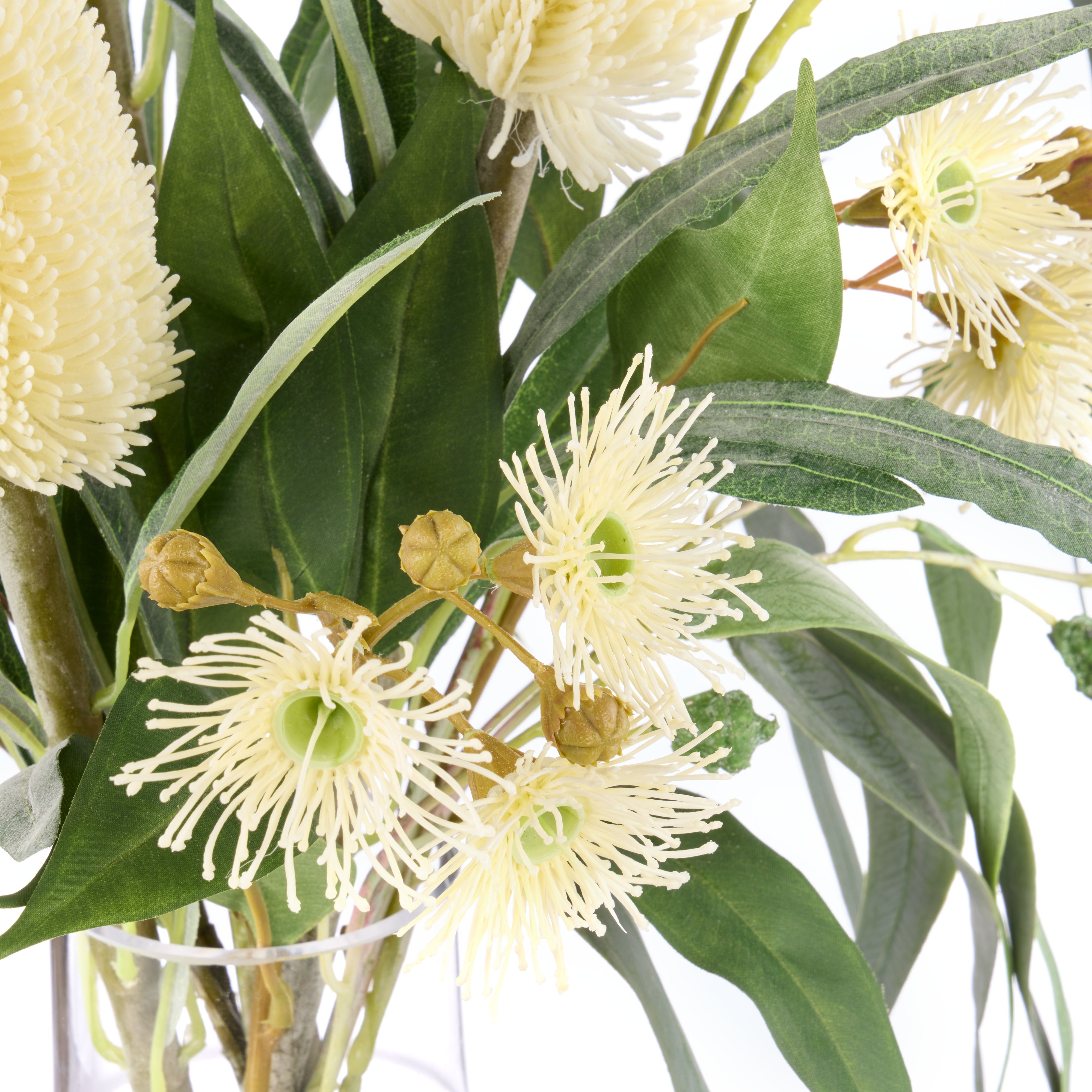 Rogue Banksia Eucalyptus Mix - Rachel Vase