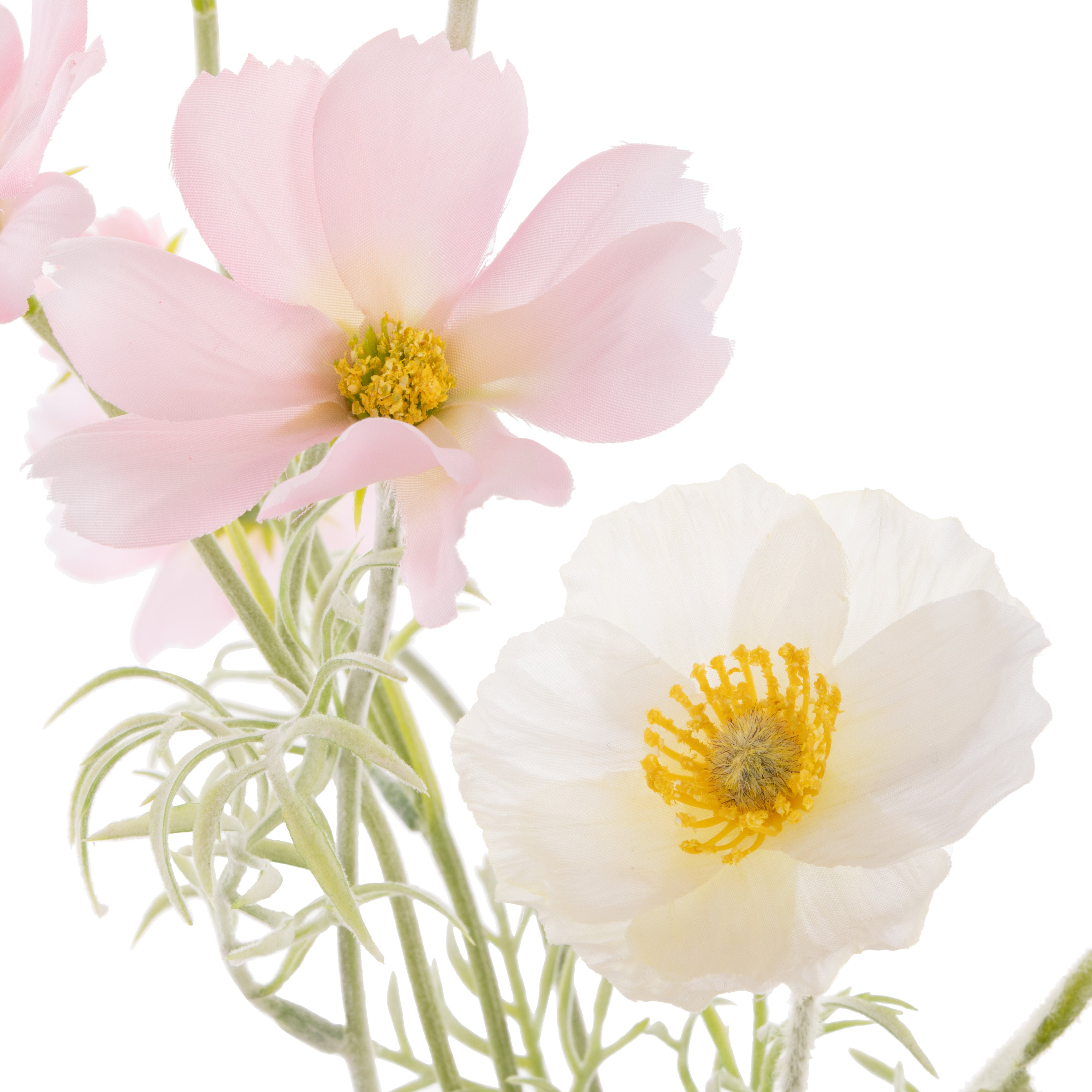 Rogue Poppy Cosmos Mix - Giselle Vase Cream & Pink