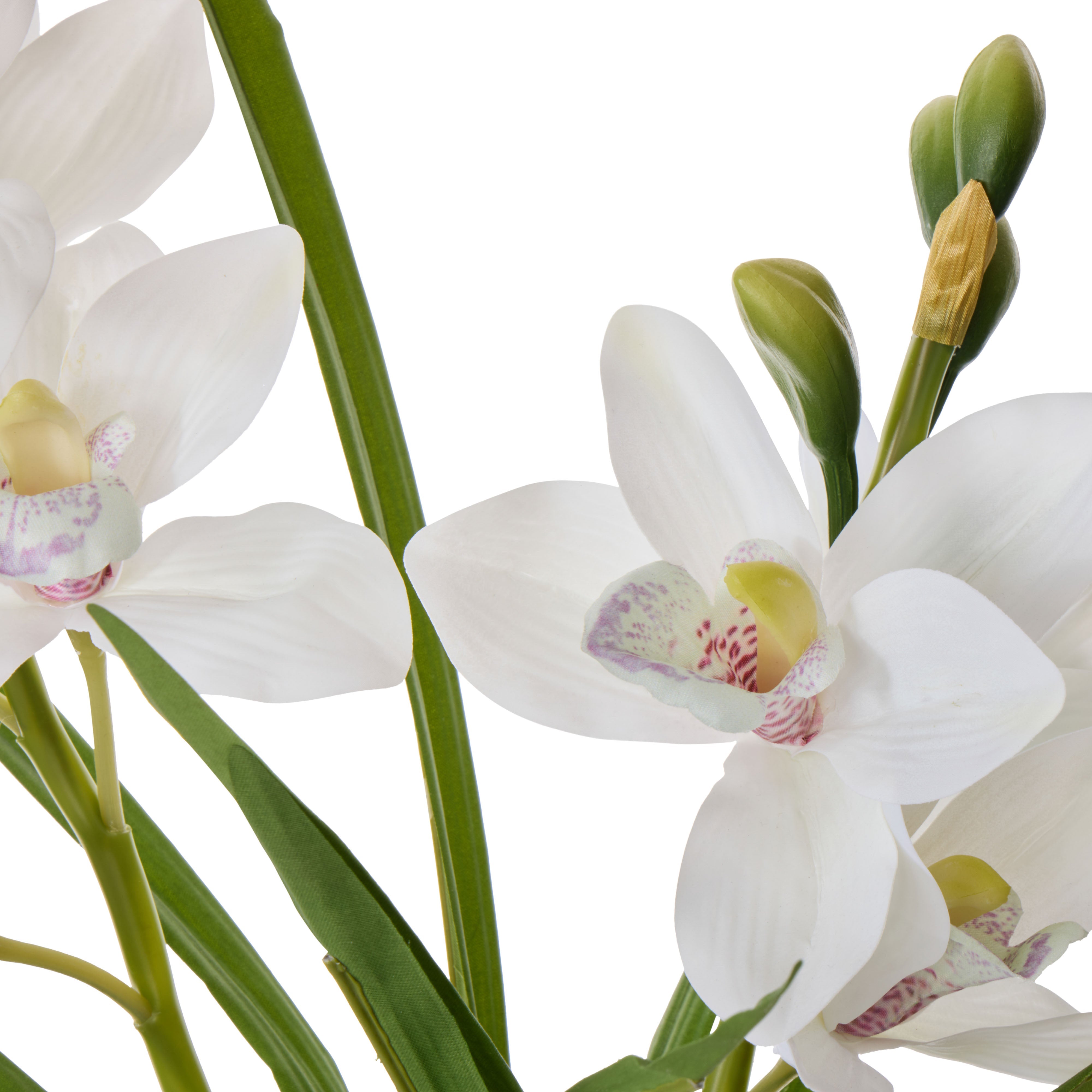 Rogue Cymbidium Orchid Pot 52cm