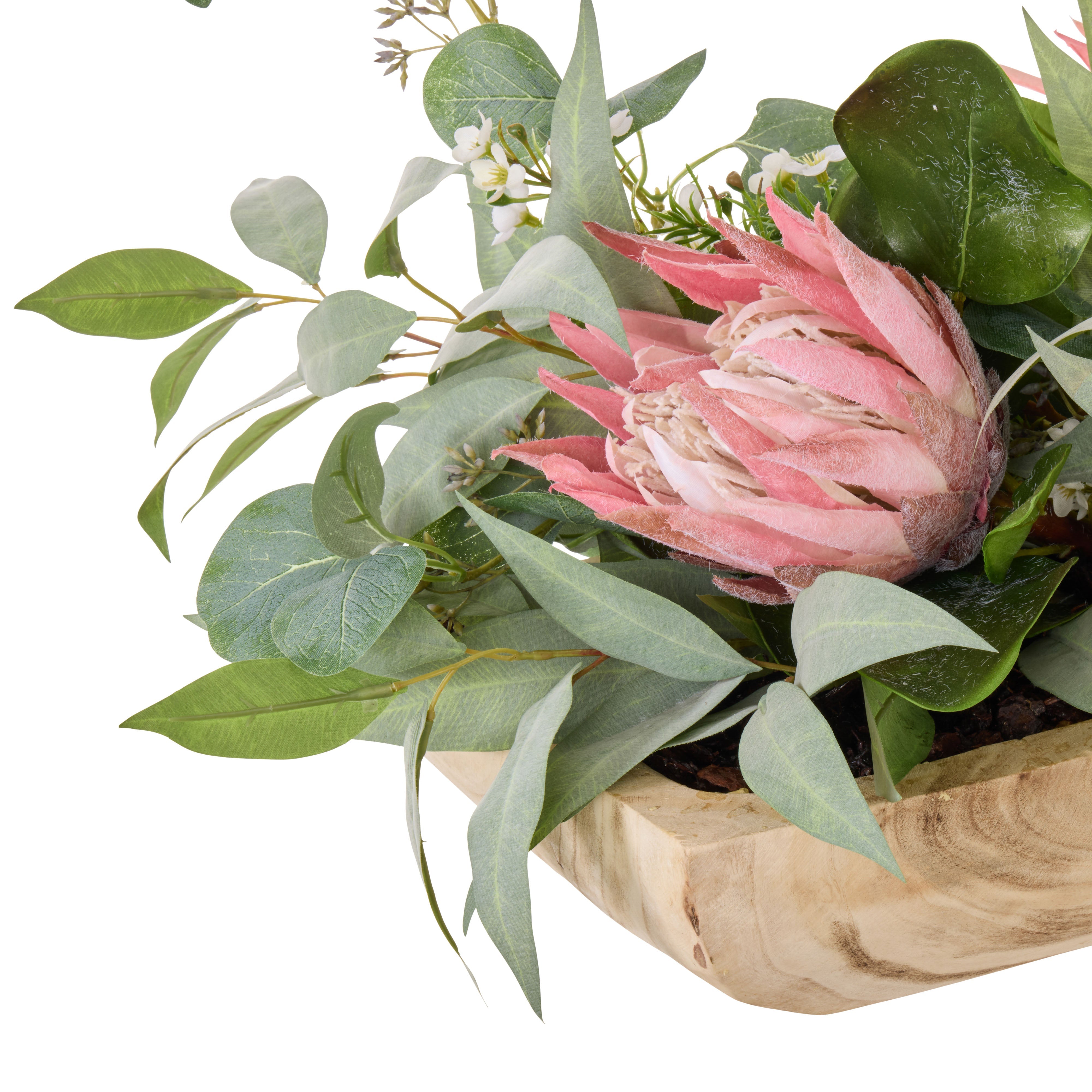 Rogue King Protea Native Mix - Dansk Pink