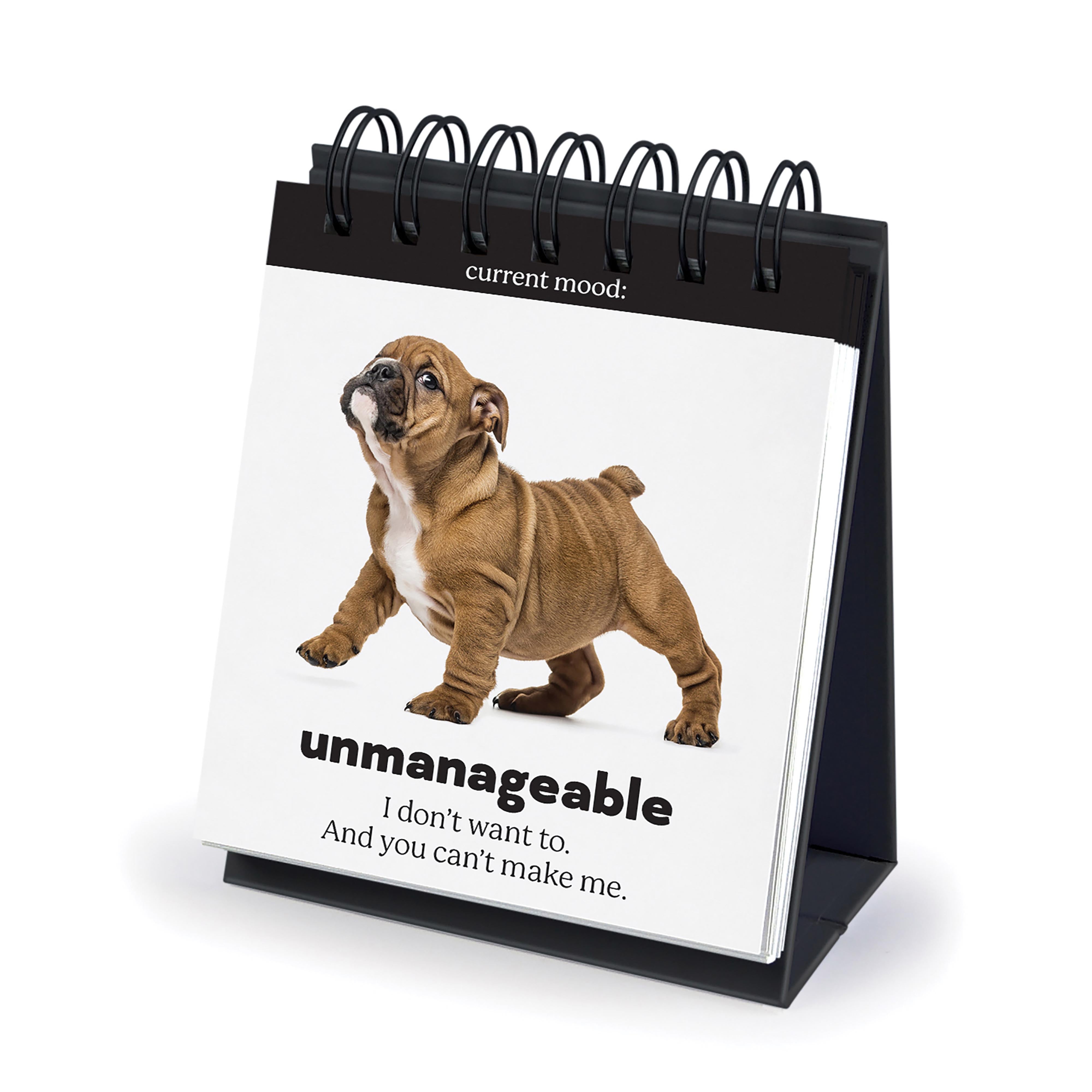 Fred Daily Doggo Desktop Flip Book Multi-Coloured