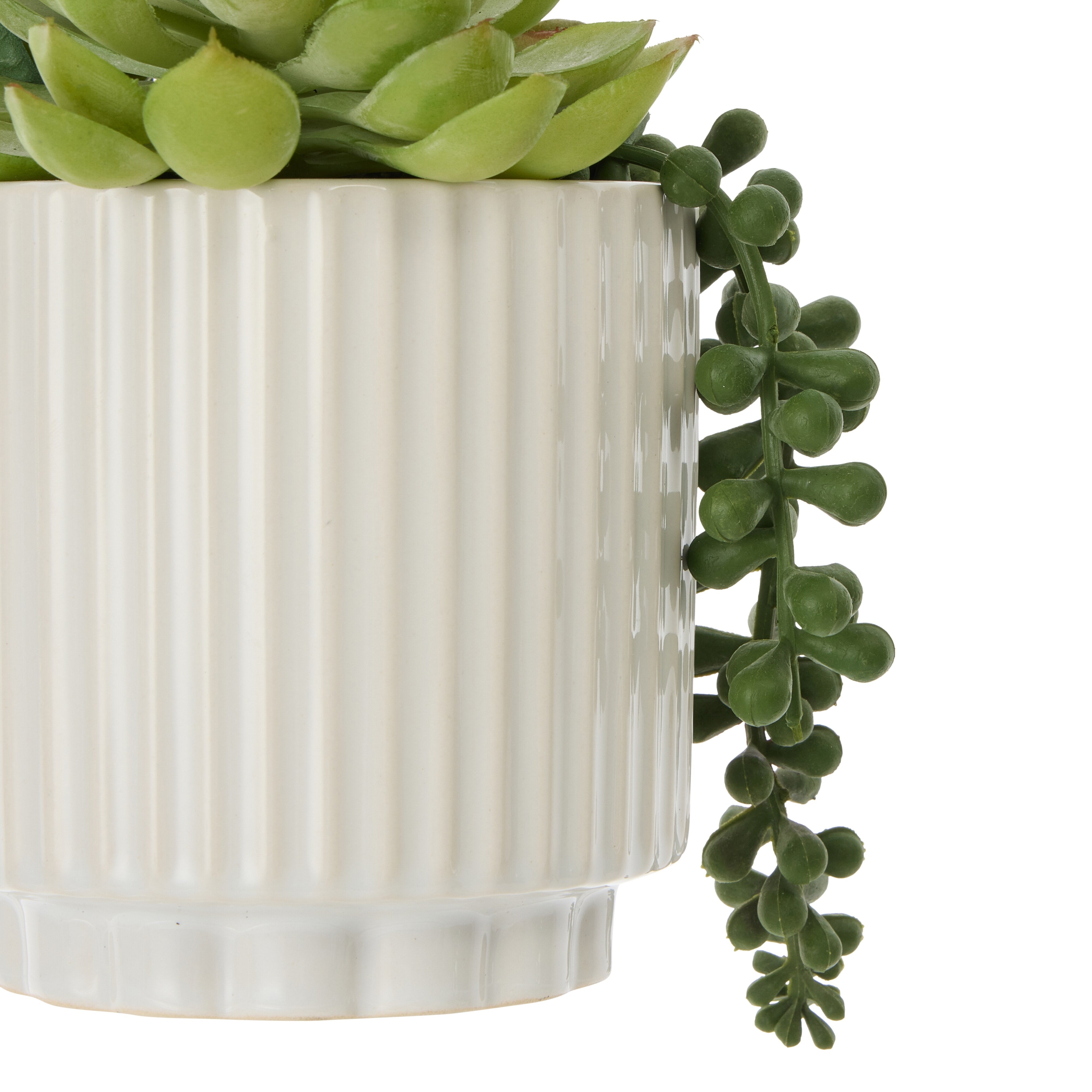 Rogue Aloe Succulent Mix Pot Green & White