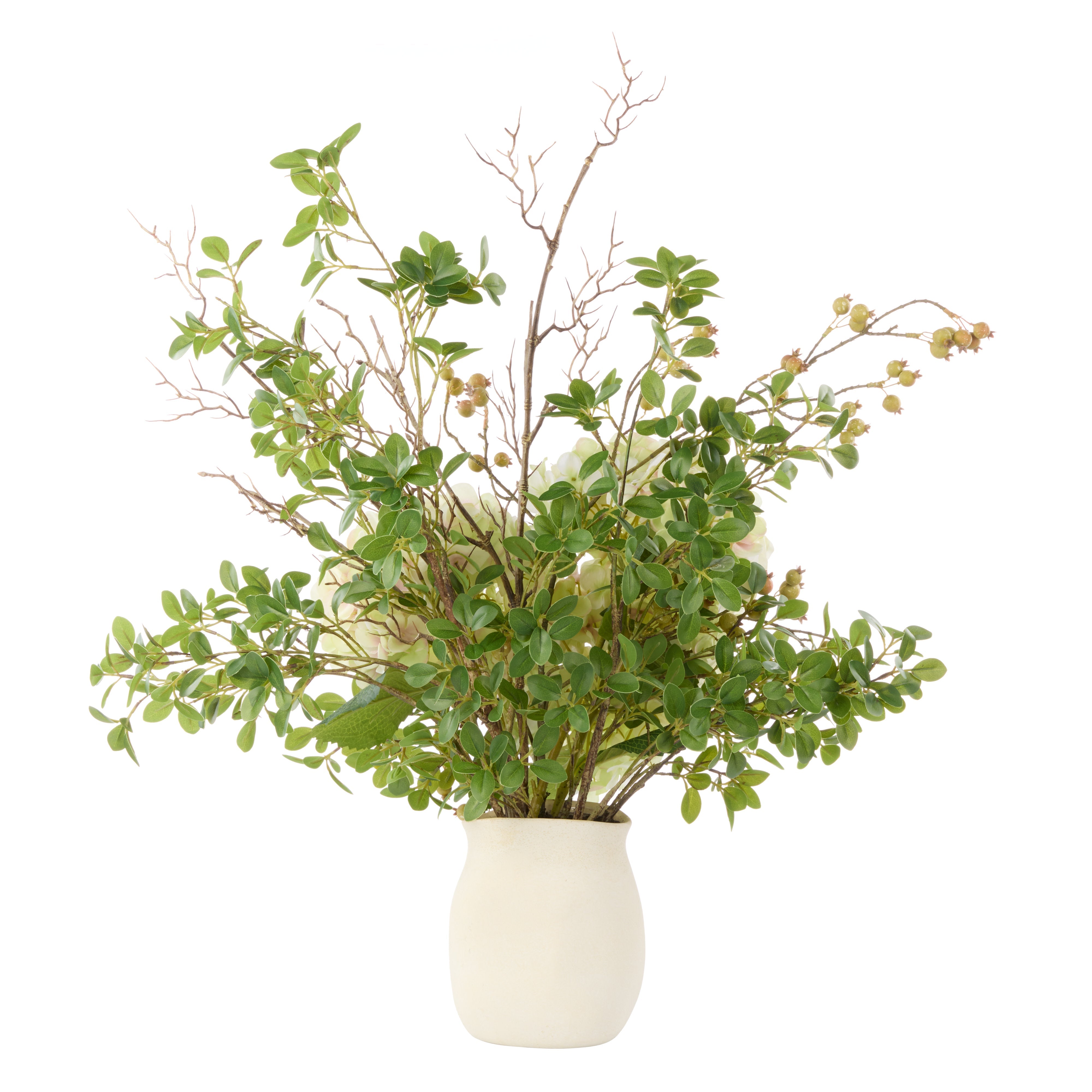 Rogue Hydrangea Berry - Maliah Pot