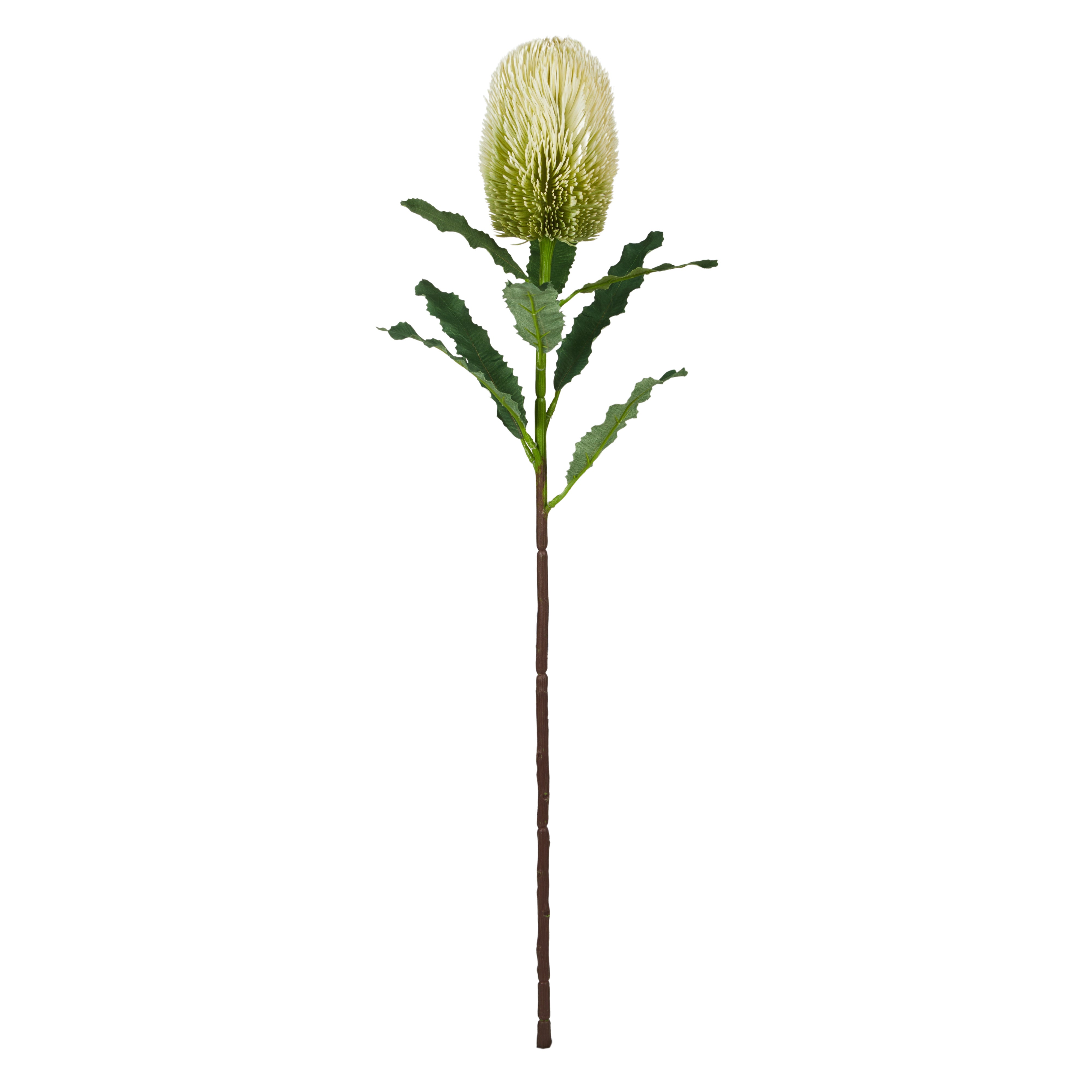 Rogue Banksia Stem White