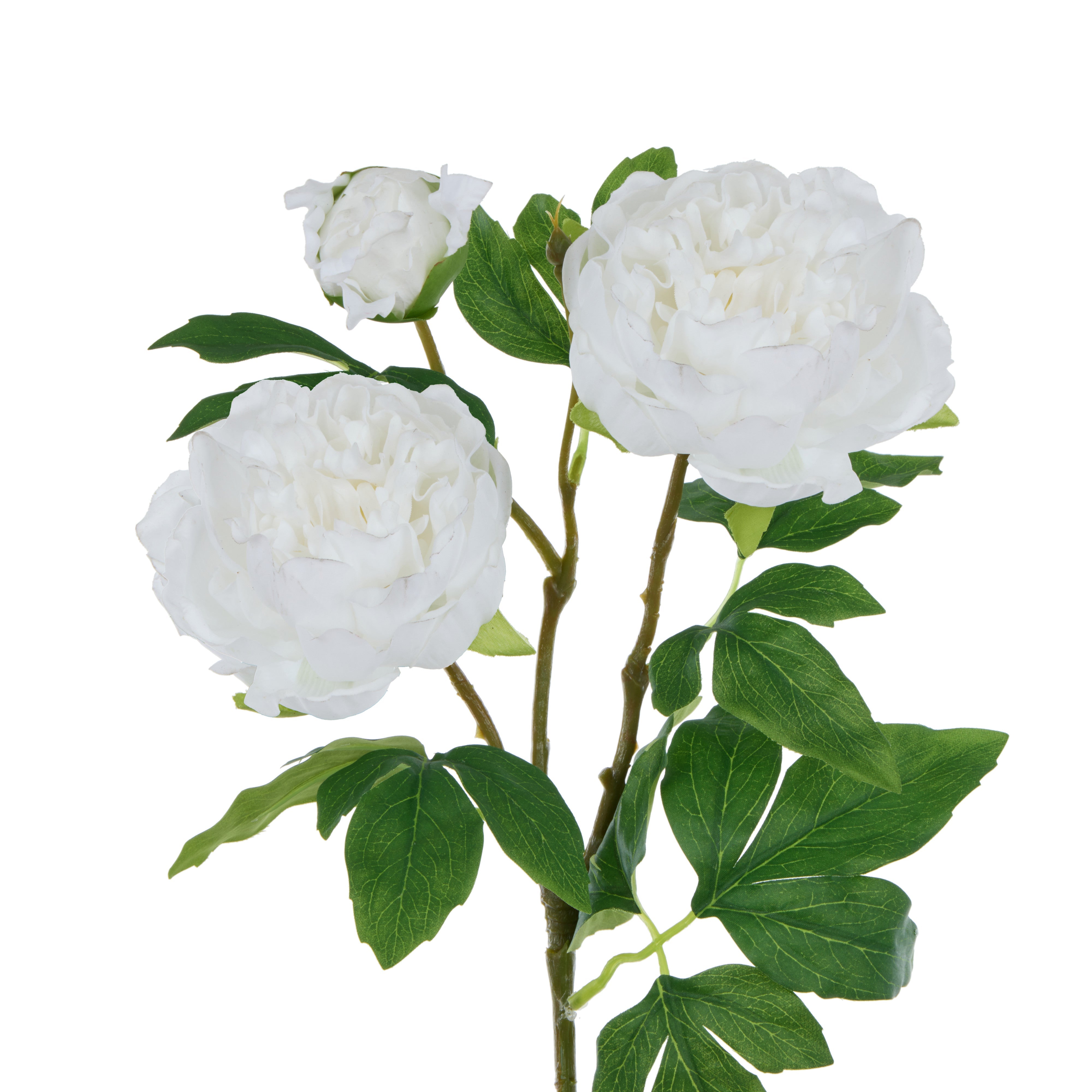 Rogue Peony Spray Real Touch