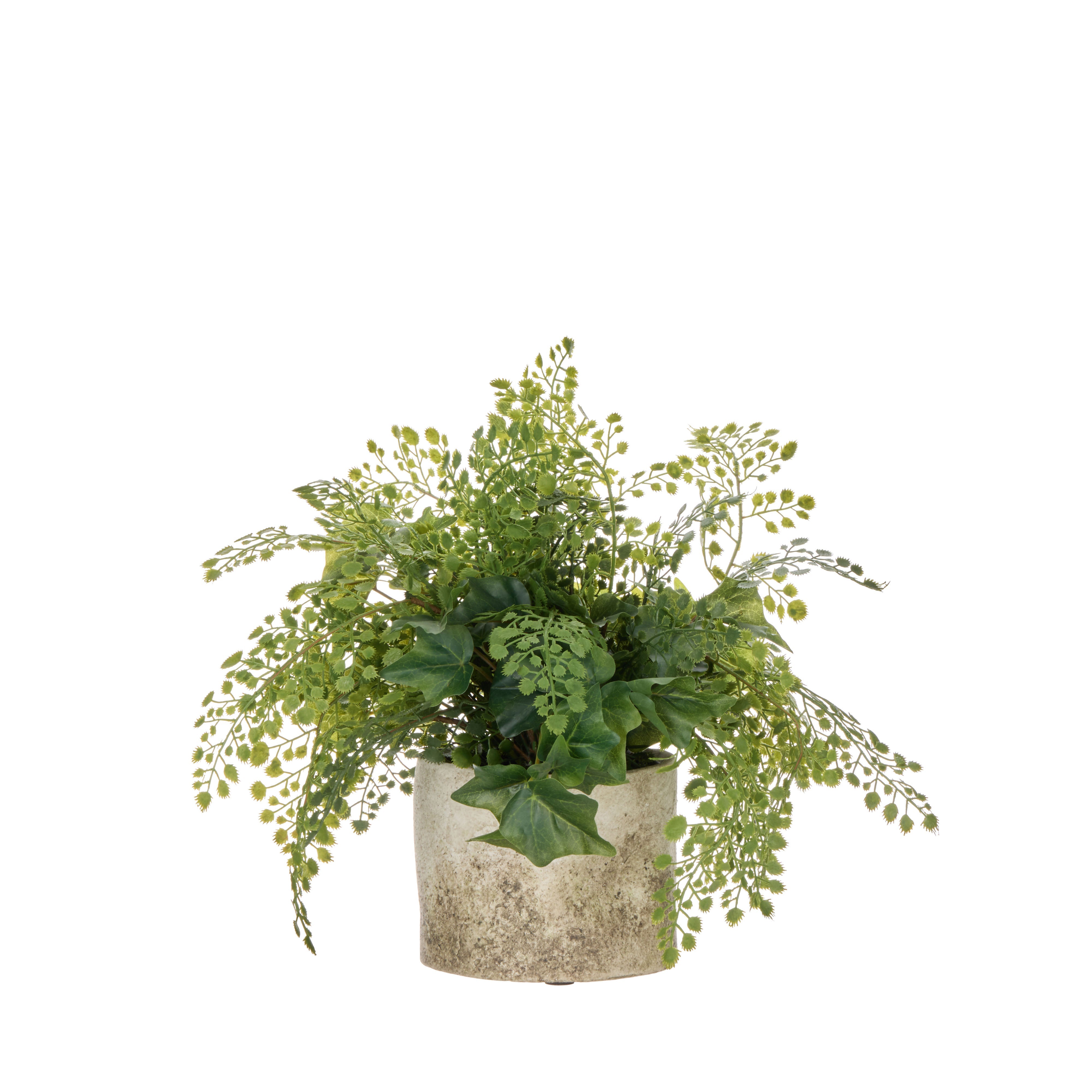 Rogue Maiden Ivy - Edith 30cm