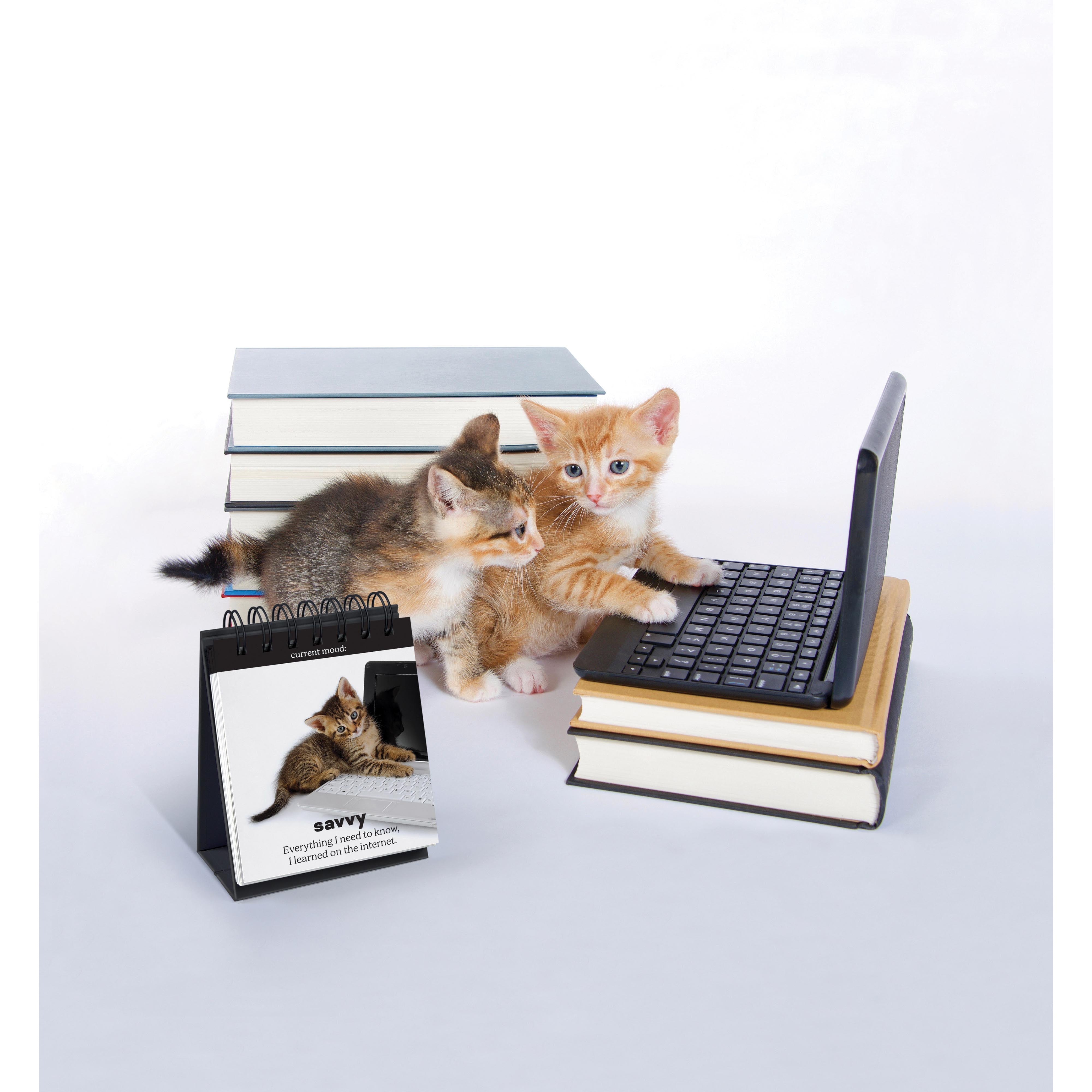 Fred Daily Cattitudes Desktop Flipbook Multi-Coloured