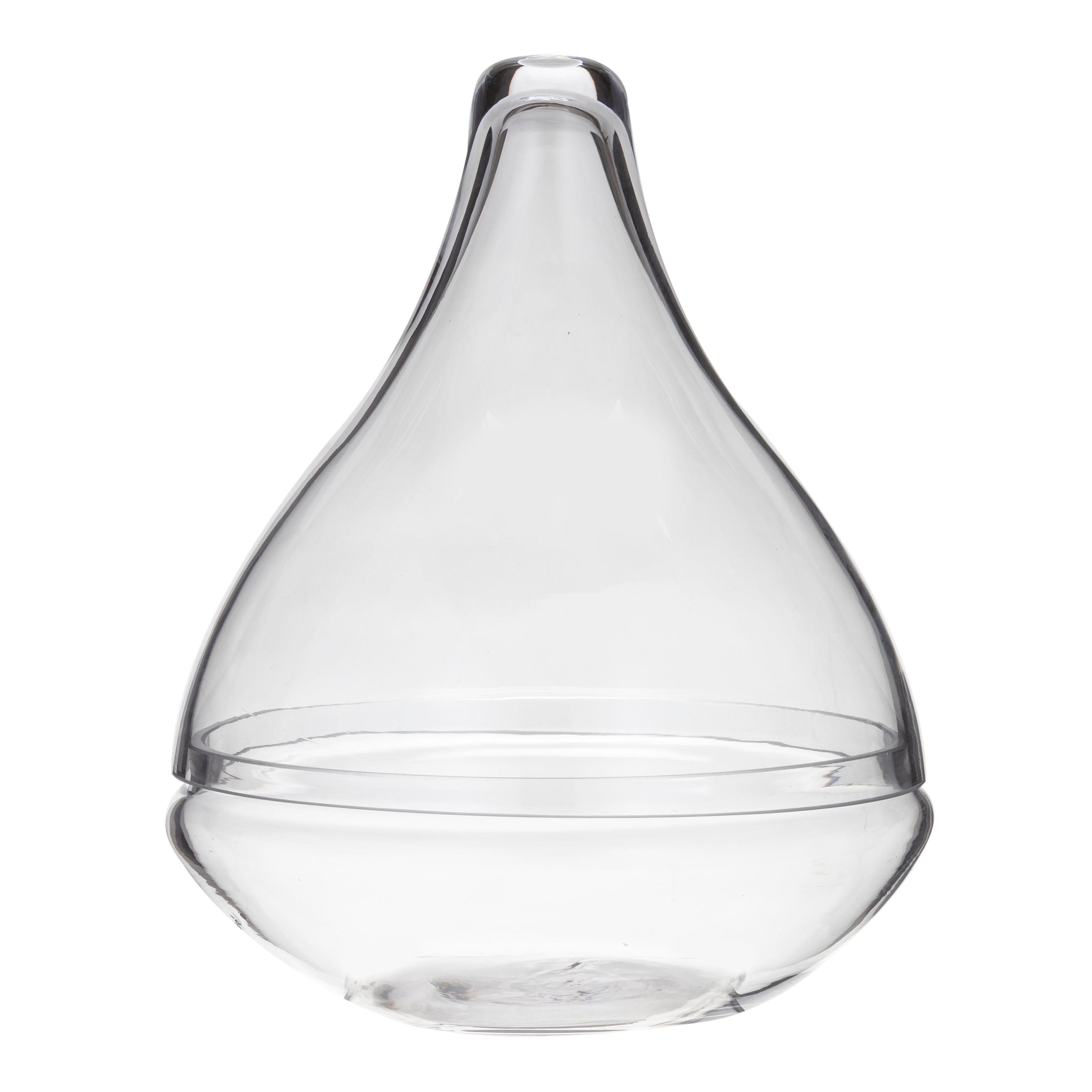 Rogue Seraphina Terrarium