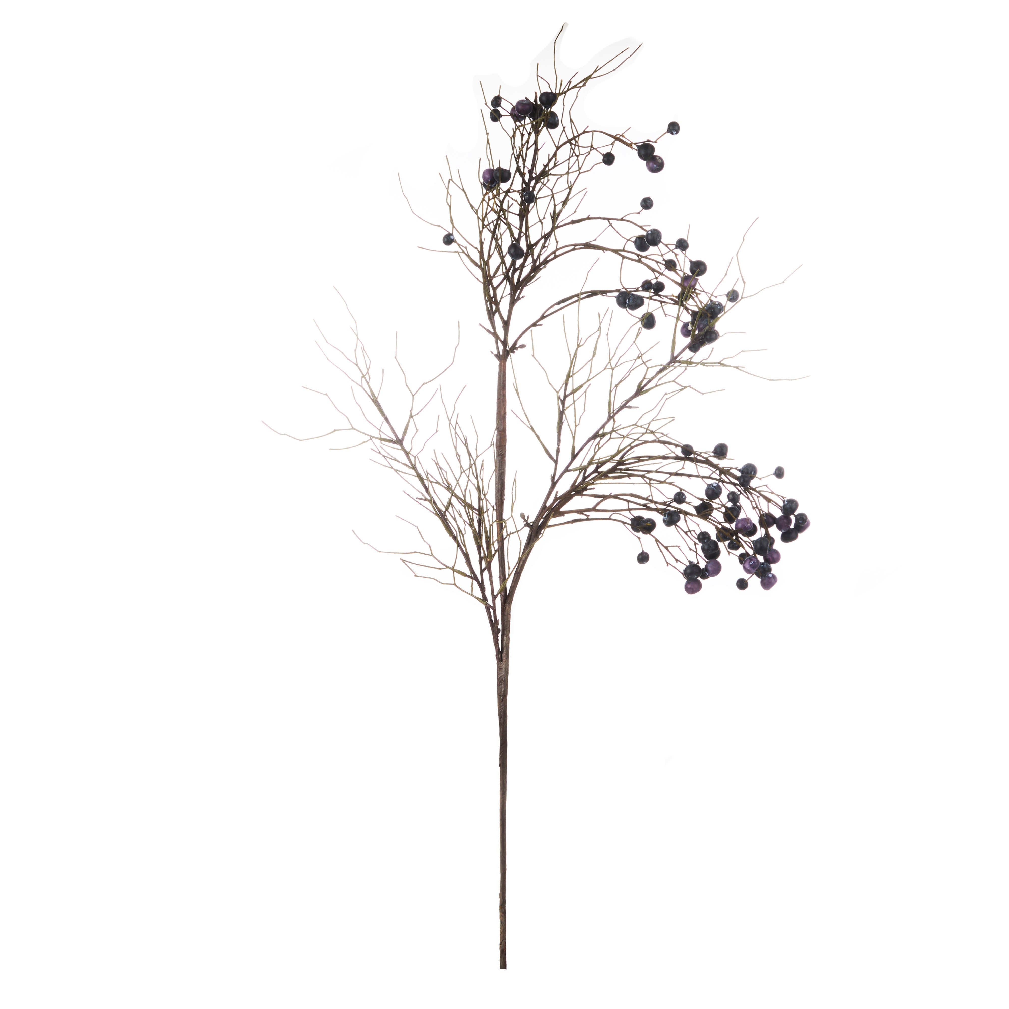 Rogue Wild Berry Spray 17cm