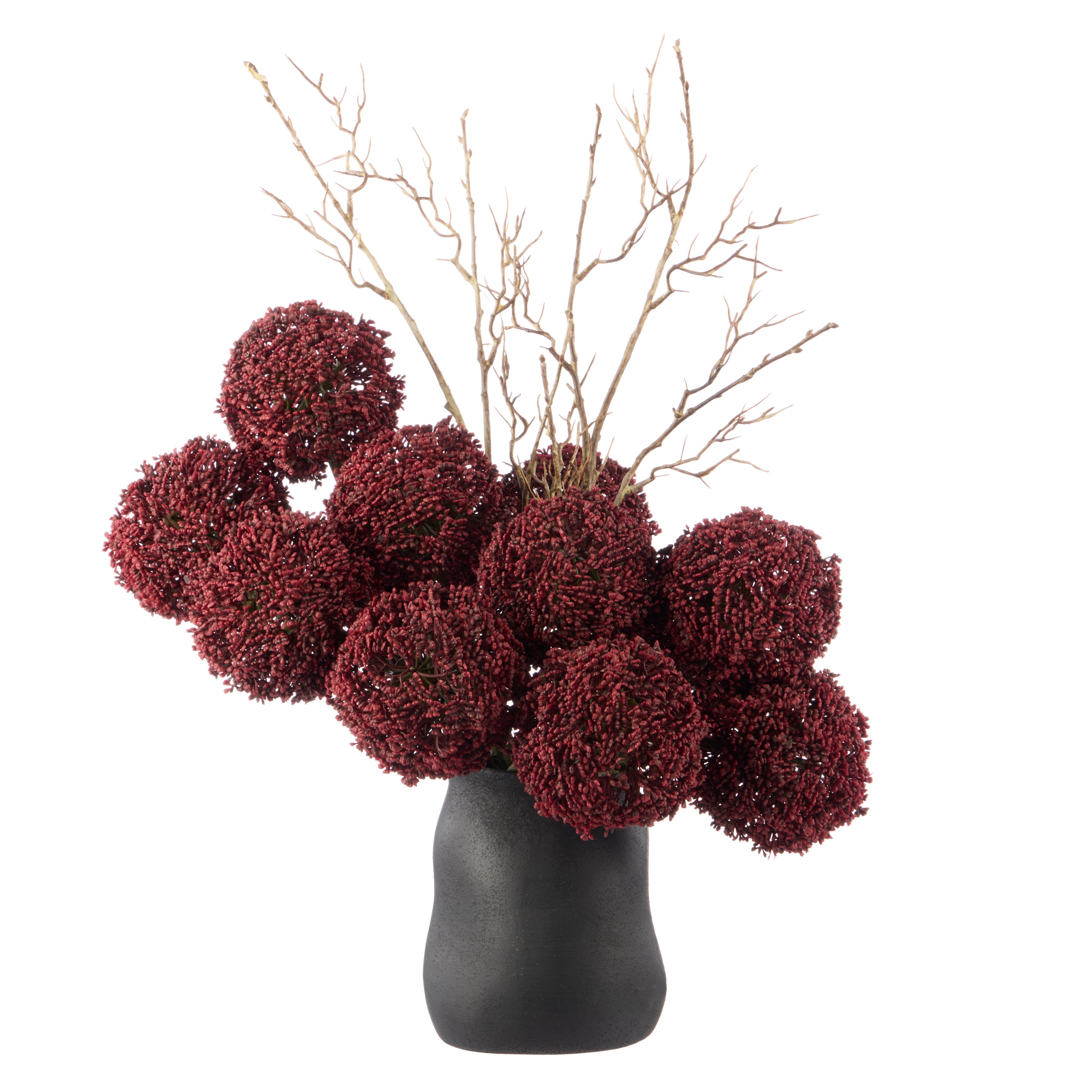 Rogue Allium - Maliah Pot Purple