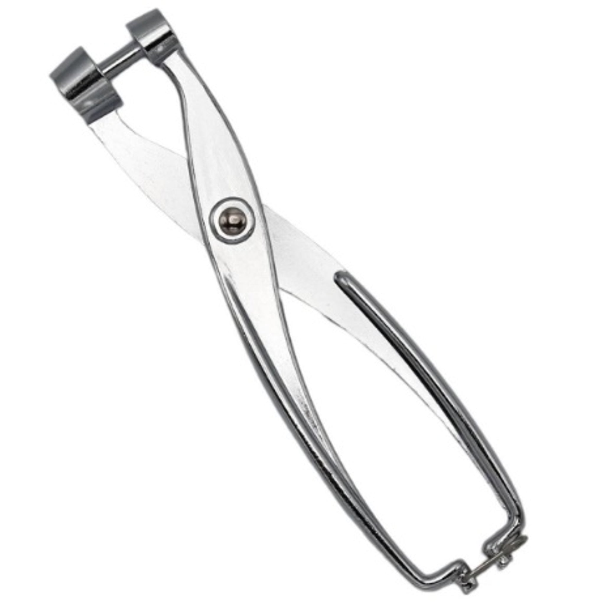 Incasa Olive and Cherry Pitter Zinc