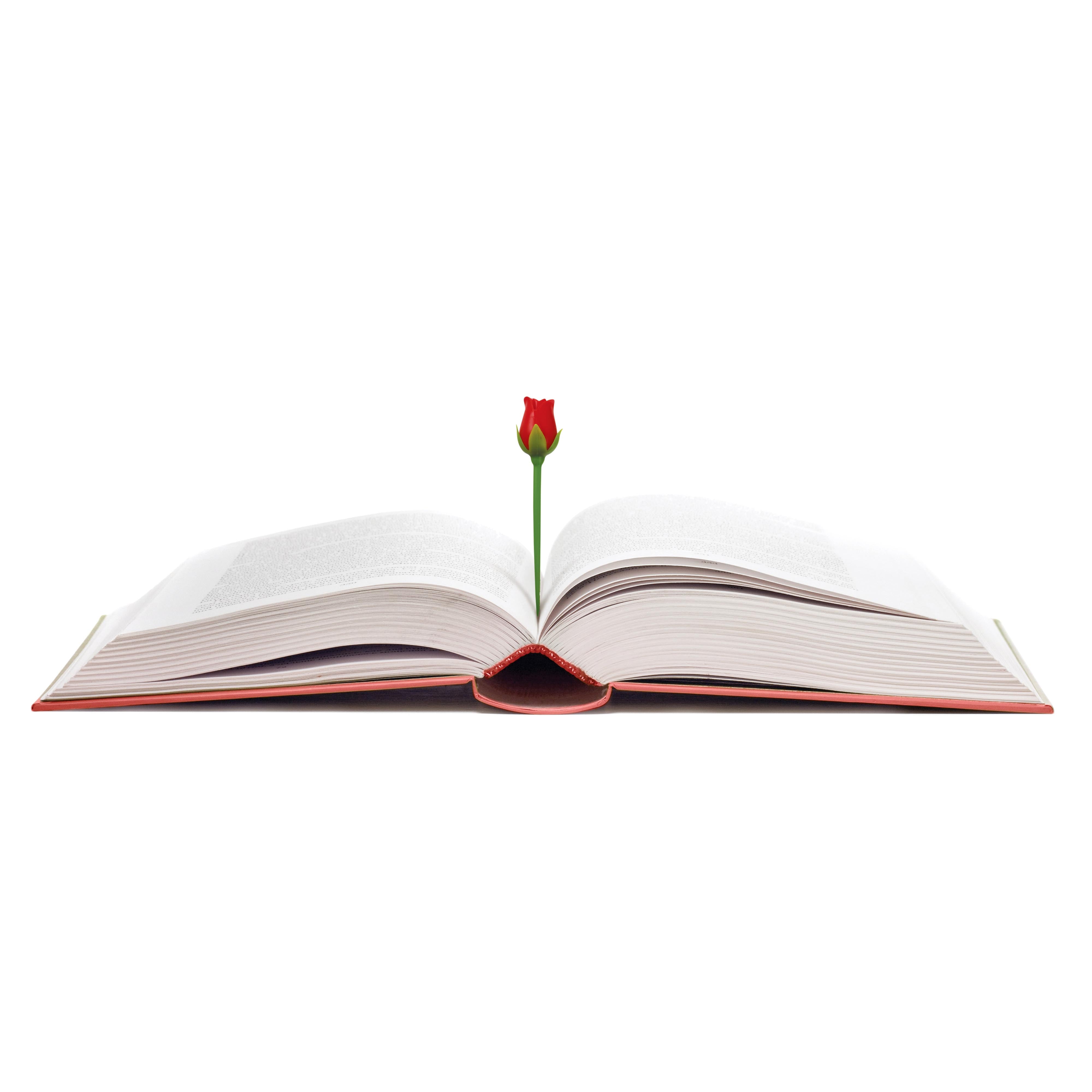 Fred Roses are Read Bookmarks 2 Piece Set Multi-Coloured