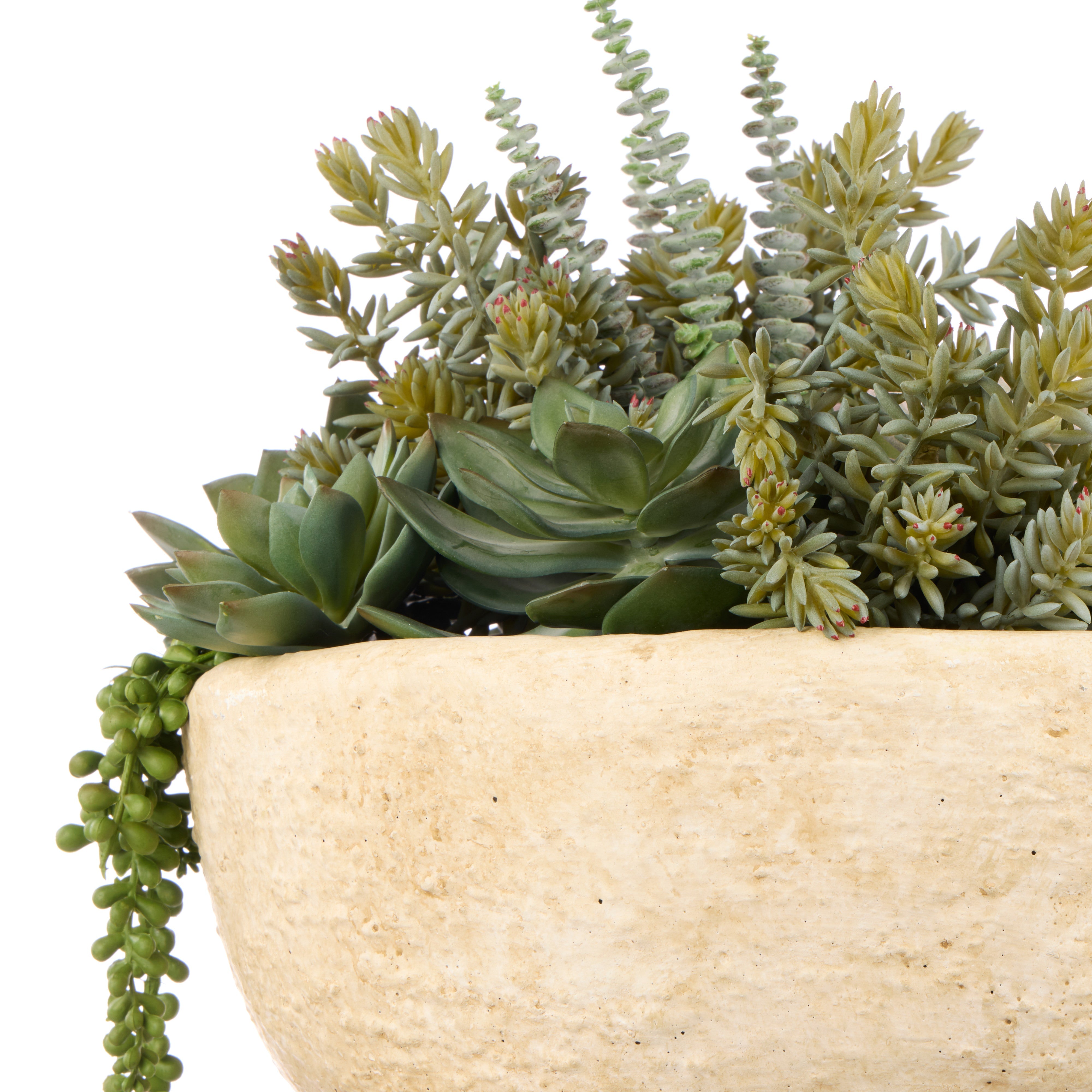 Rogue Succulent Garden - Textured Cement Pot