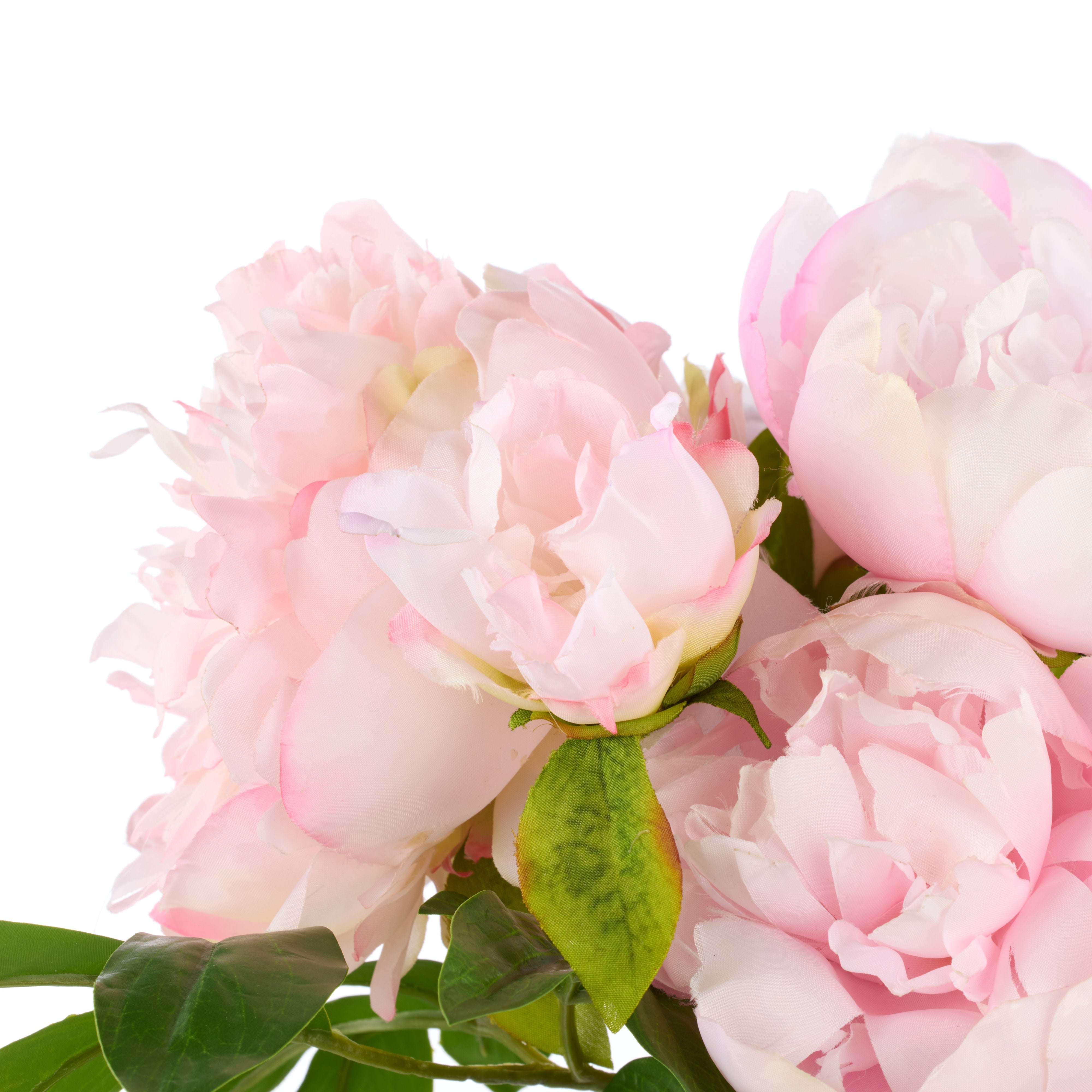 Rogue Peony Mix Bouquet Pink