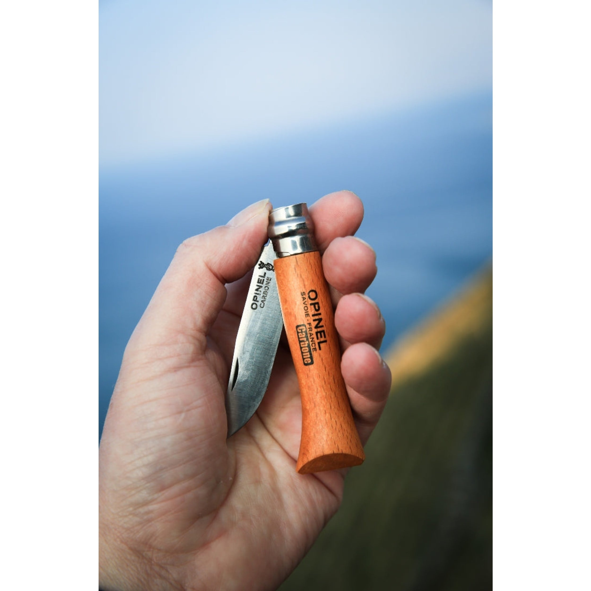 Opinel No.06 Carbon Steel Folding Knife Beech