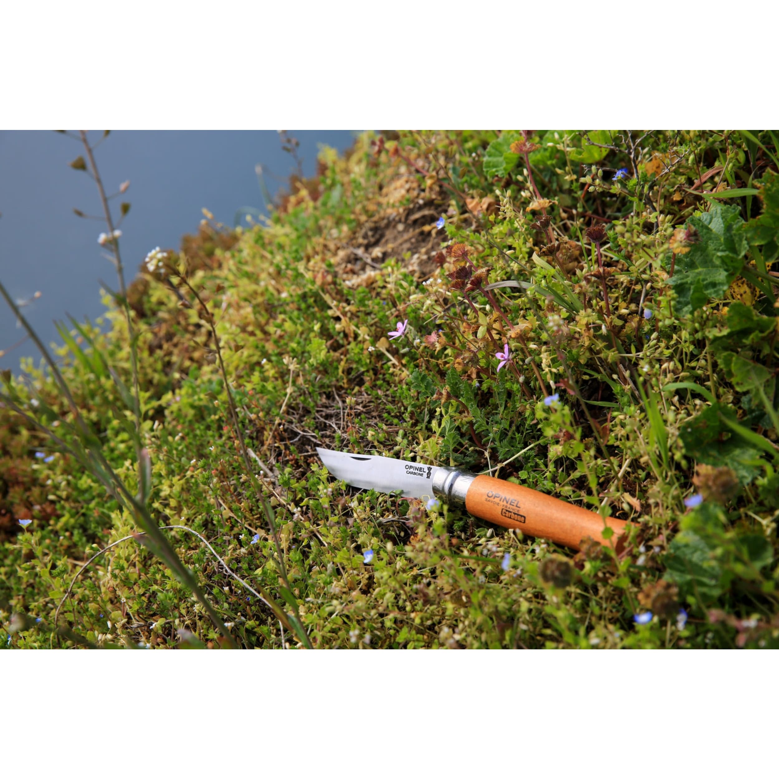 Opinel No.06 Carbon Steel Folding Knife Beech