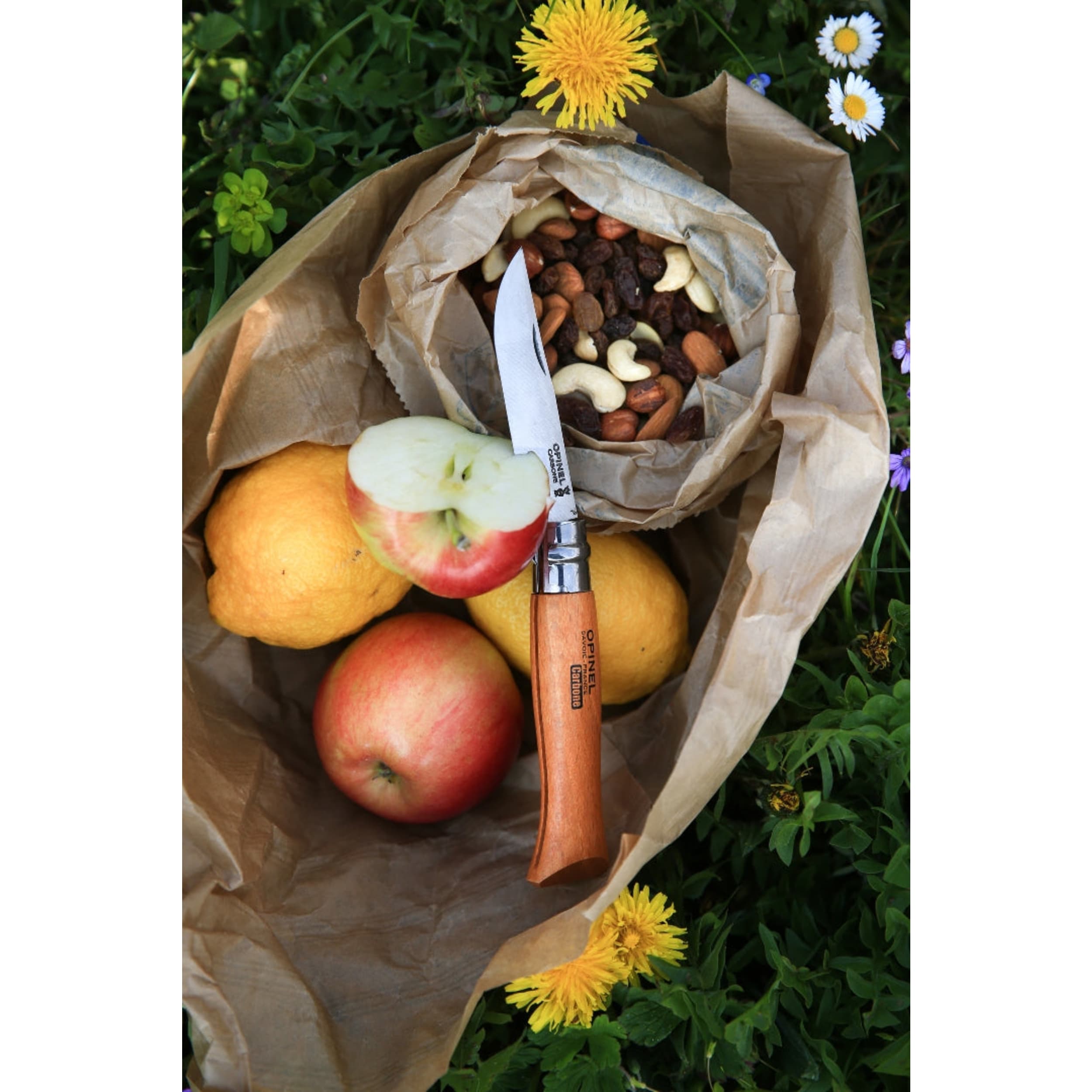 Opinel No.07 Carbon Steel Folding Knife Beech