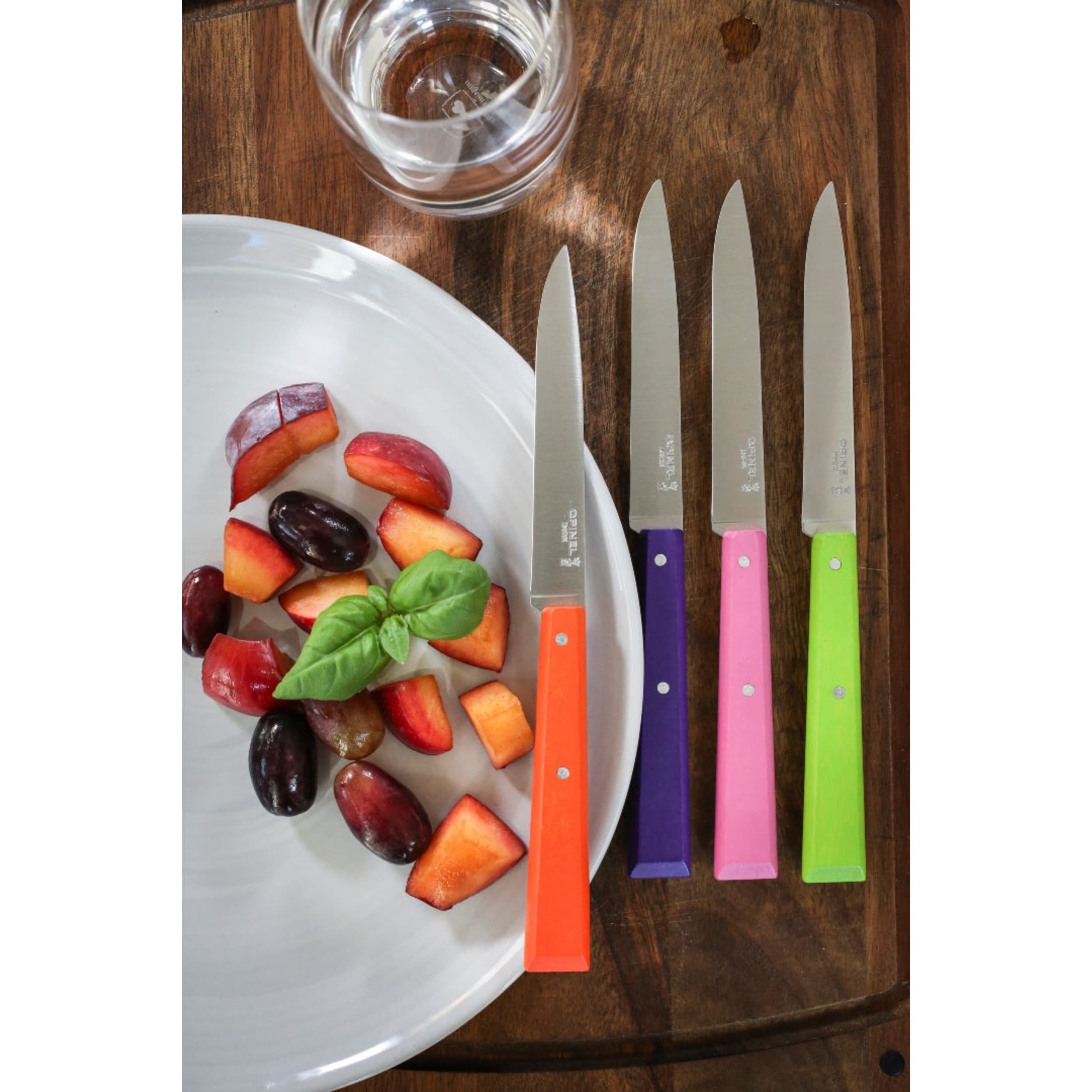 Opinel No.112 Paring Knife 4 Piece Set Paysage