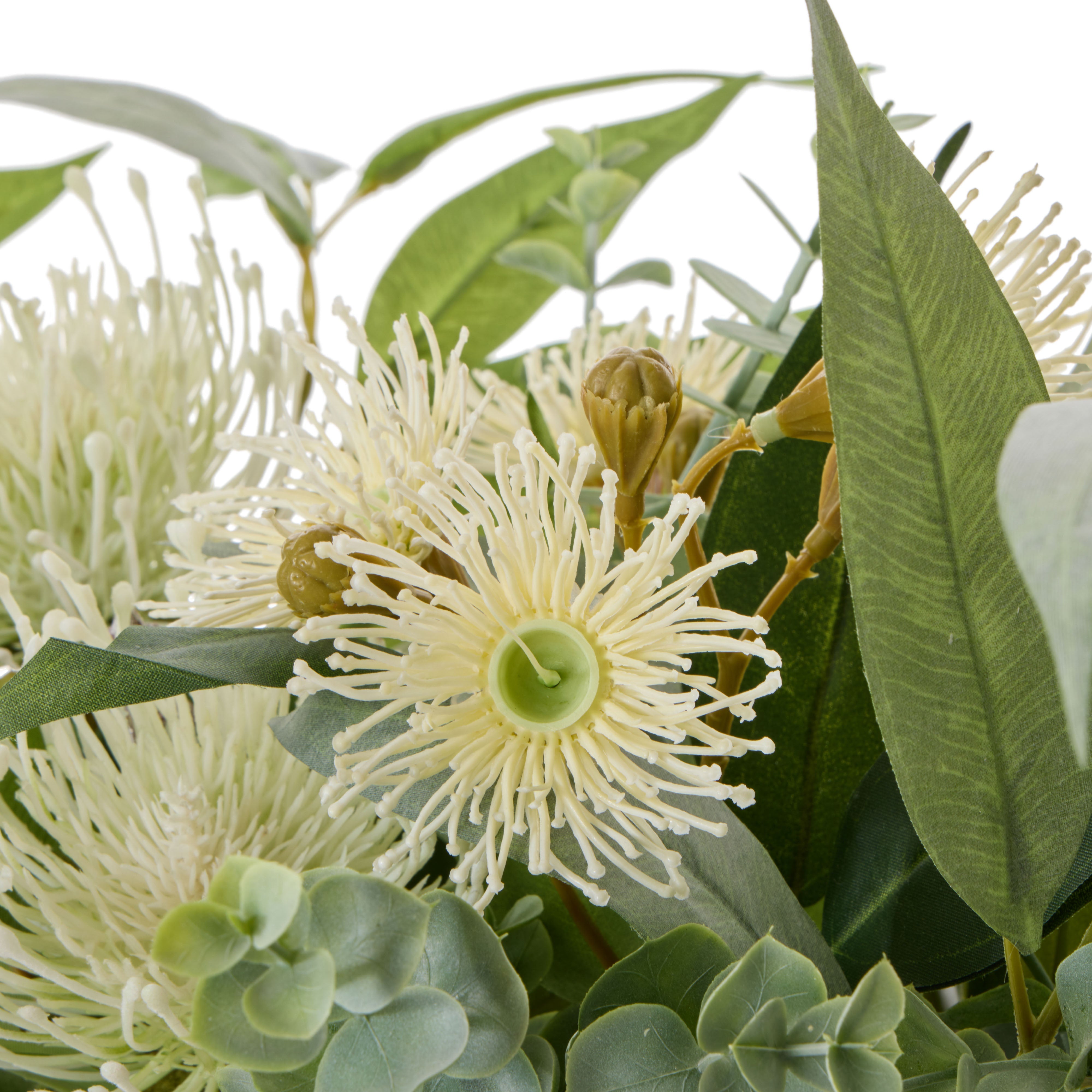Rogue Pincushion Eucalyptus - Esme White & Green