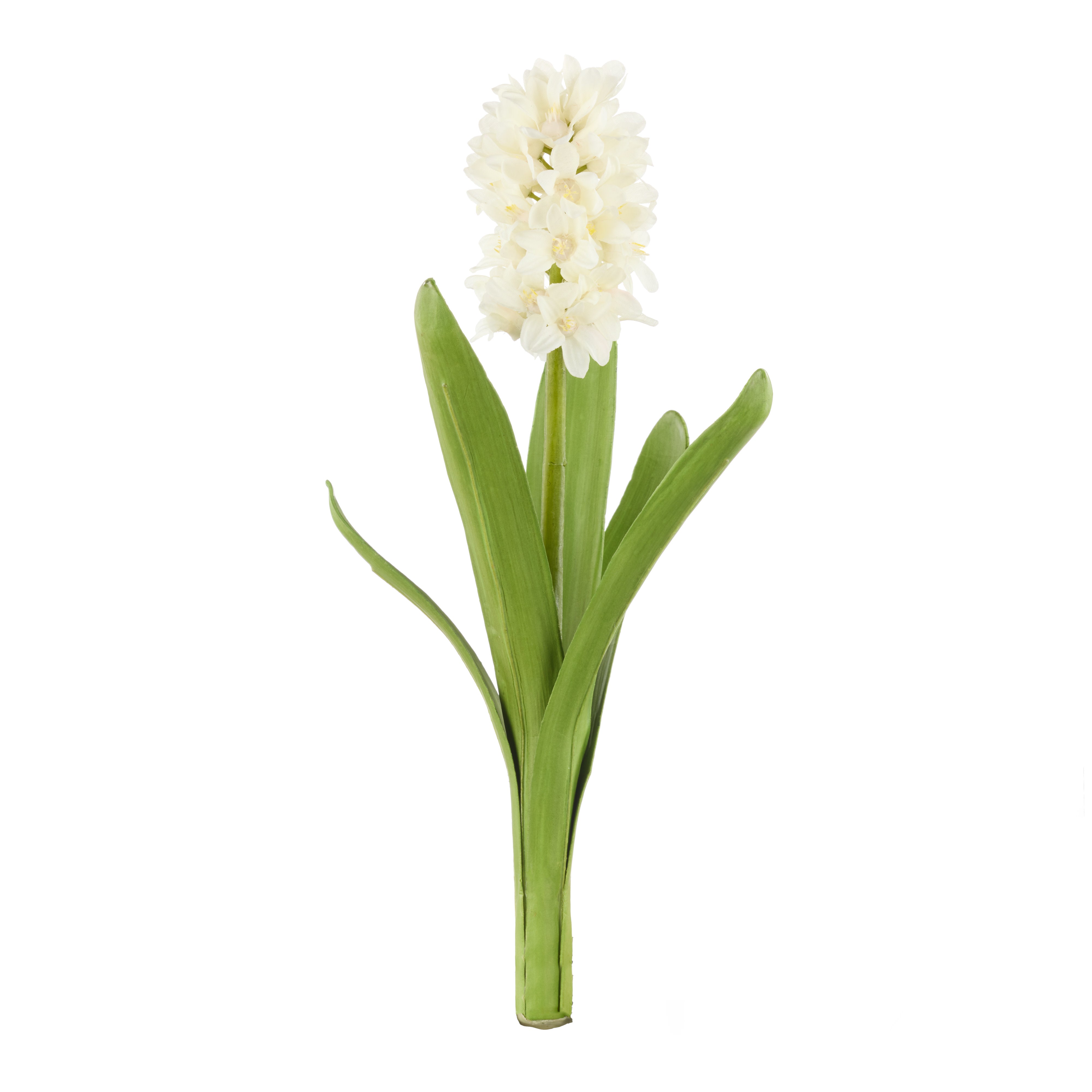 Rogue Hyacinth with Leaves Stem White