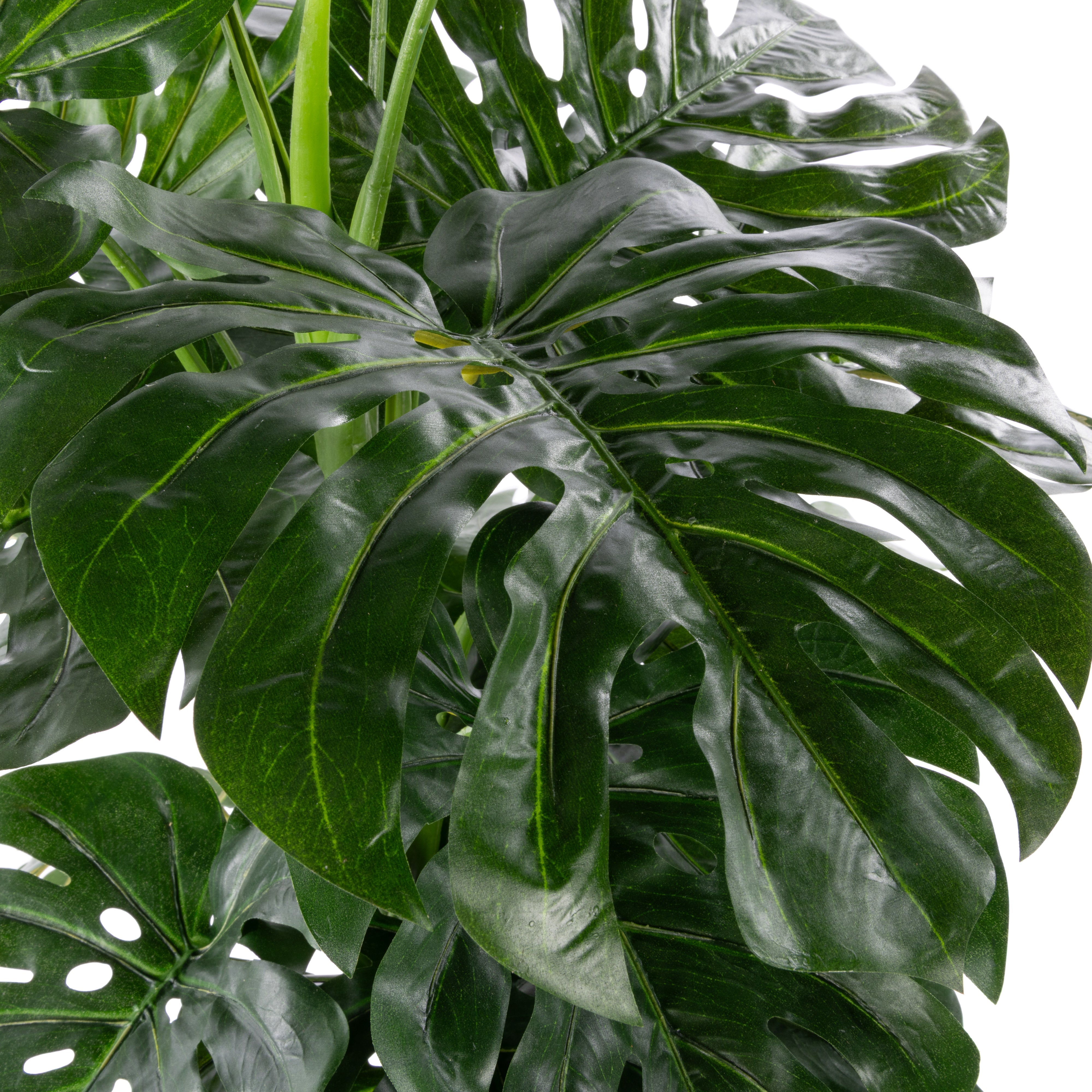 Rogue Monstera UV - Garden Pot 140cm