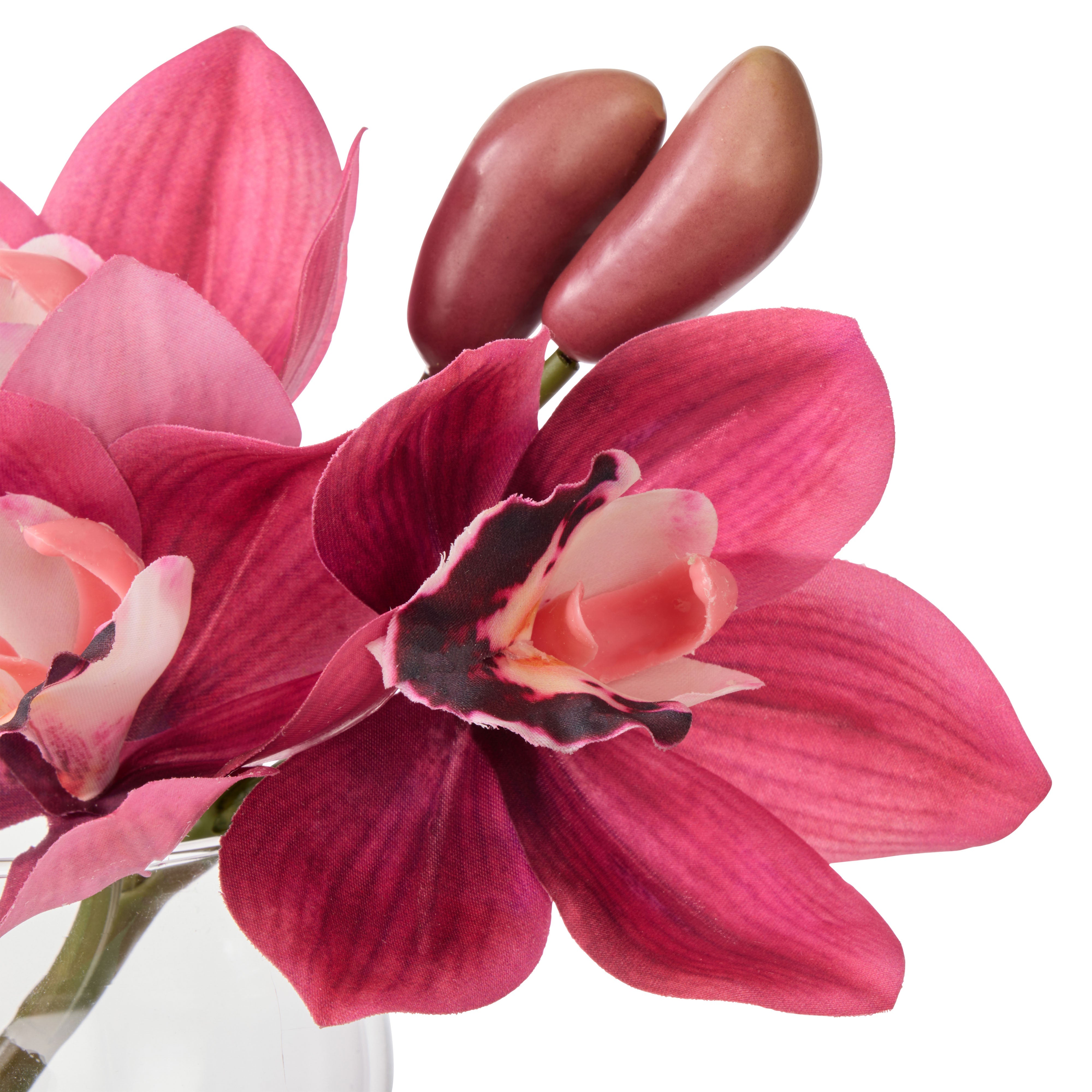 Rogue Cymbidium-Glass Vase Burgundy