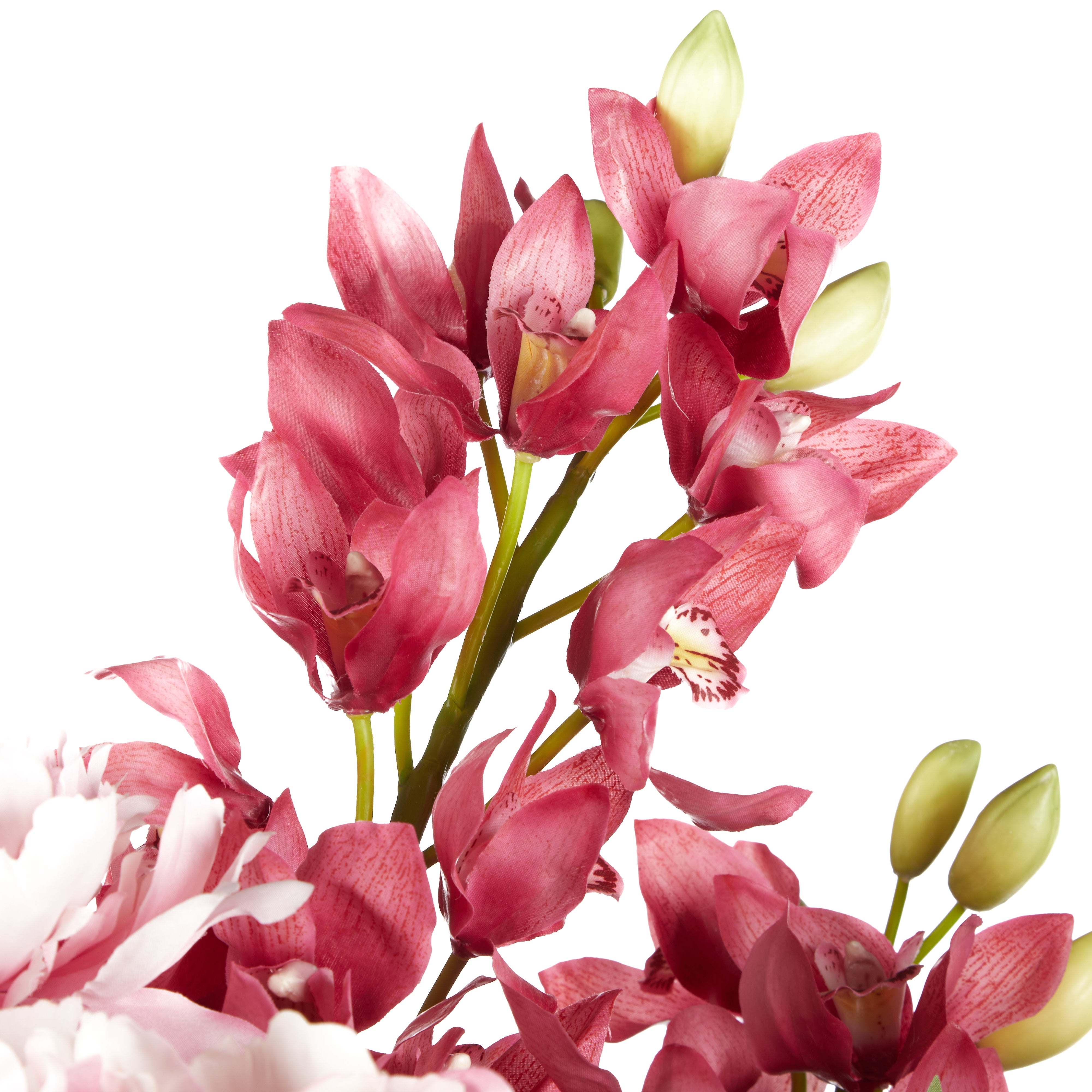 Rogue Peony Foxtail Garden Mix - Vintage Urn Pink