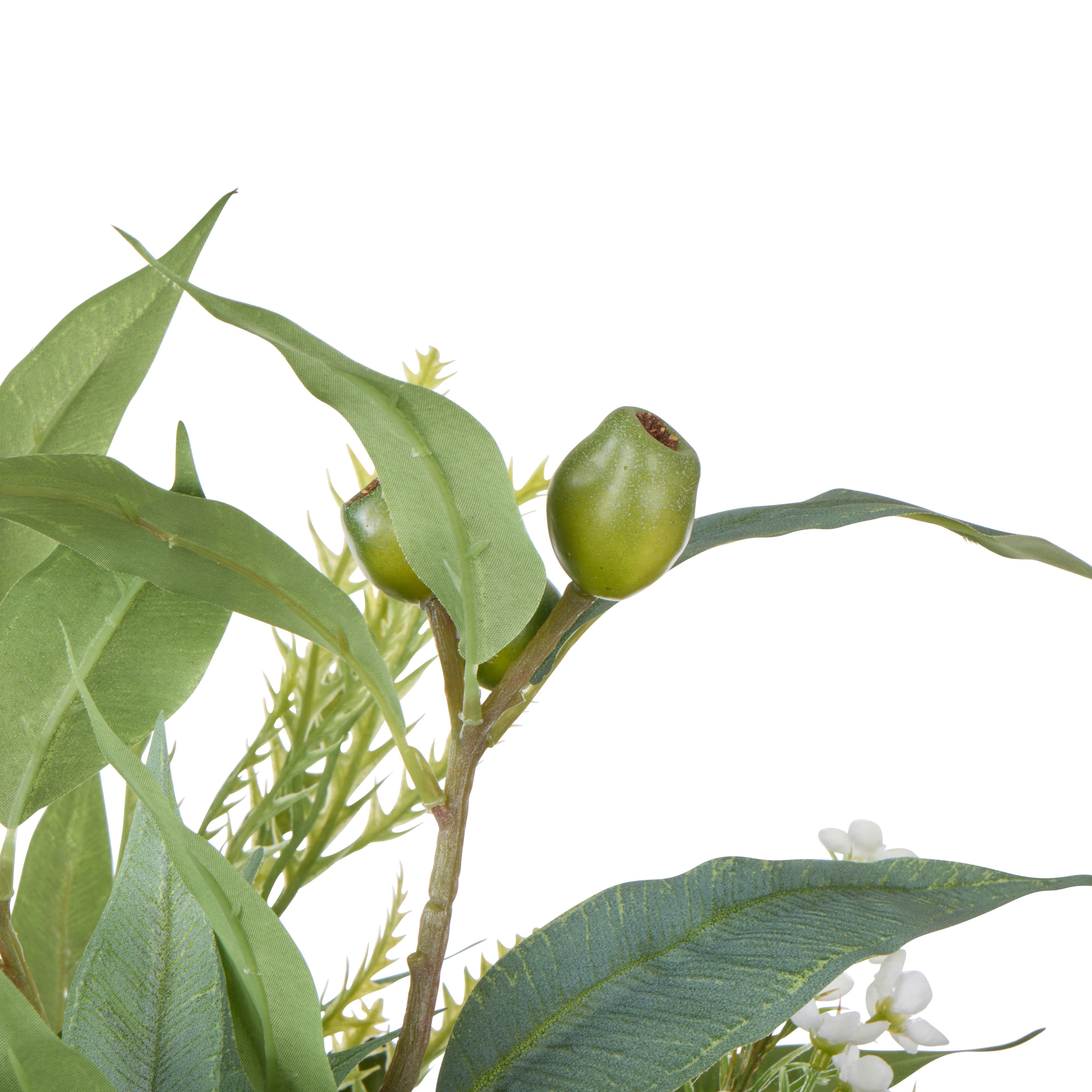 Rogue Grand Protea Native Mix - Claire Vase Green 69cm