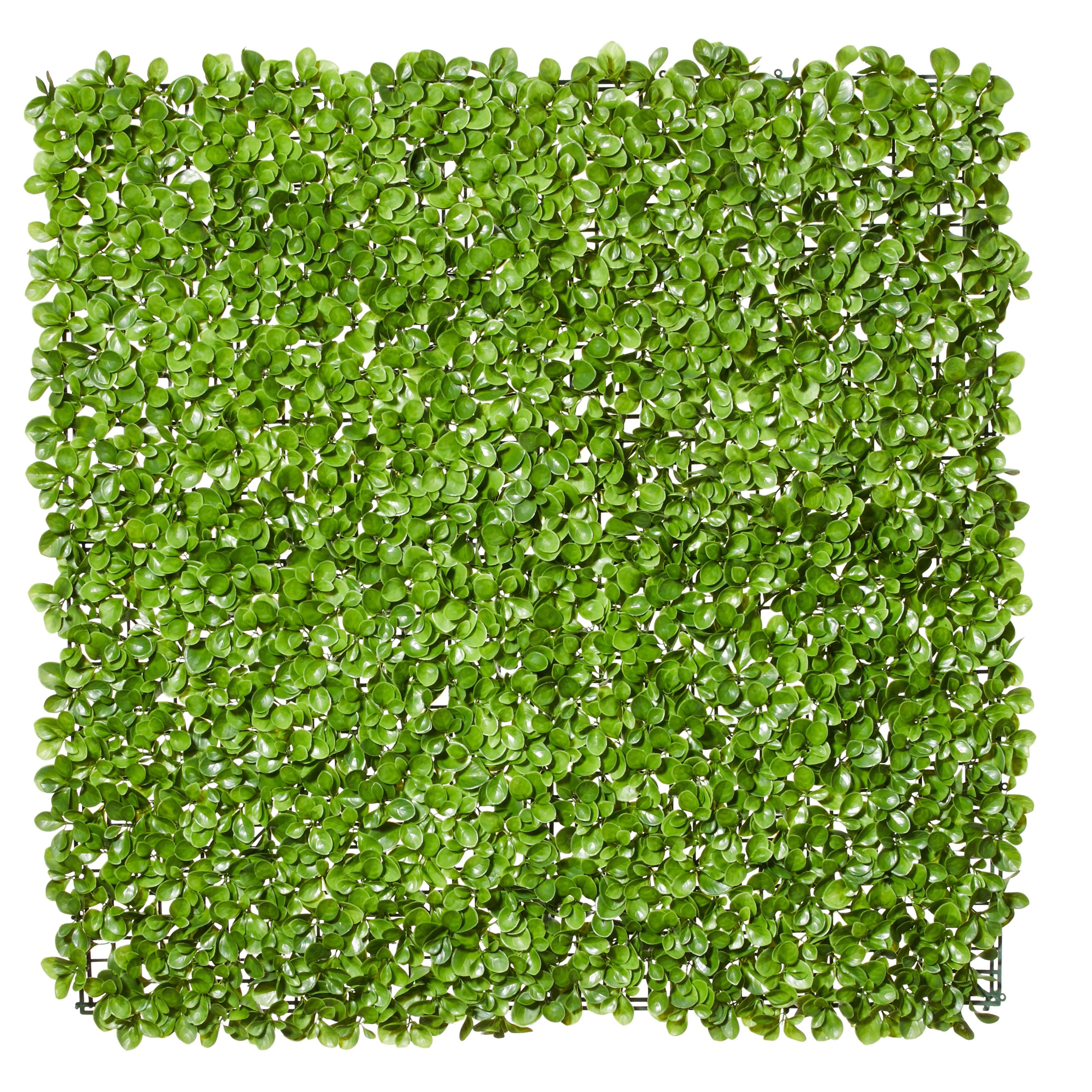 Rogue Money Leaf Tile UV