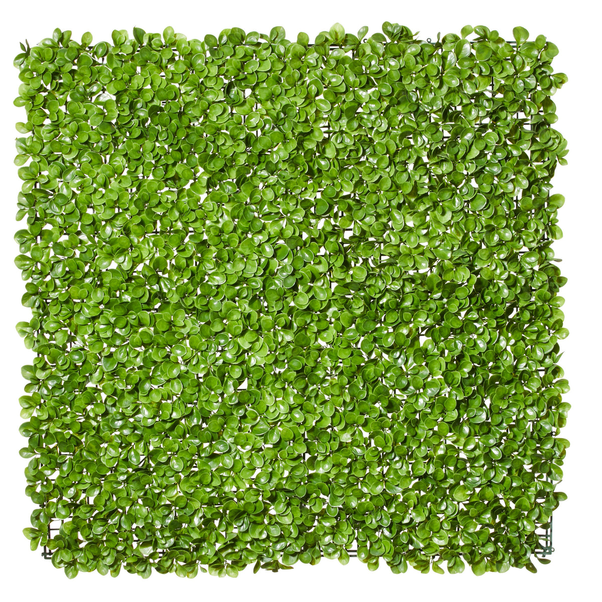 Rogue Money Leaf Tile UV