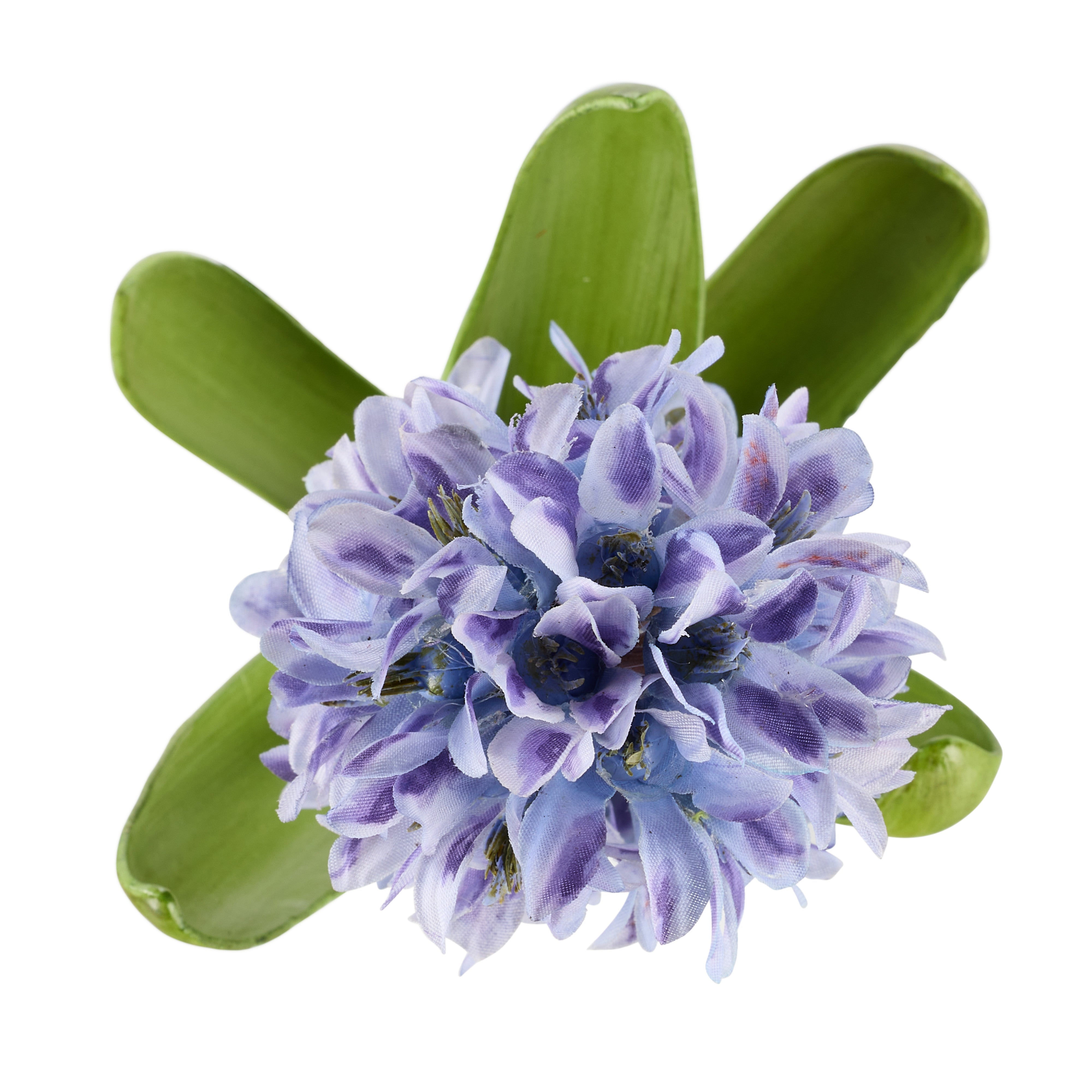 Rogue Hyacinth with Leaves Stem Purple