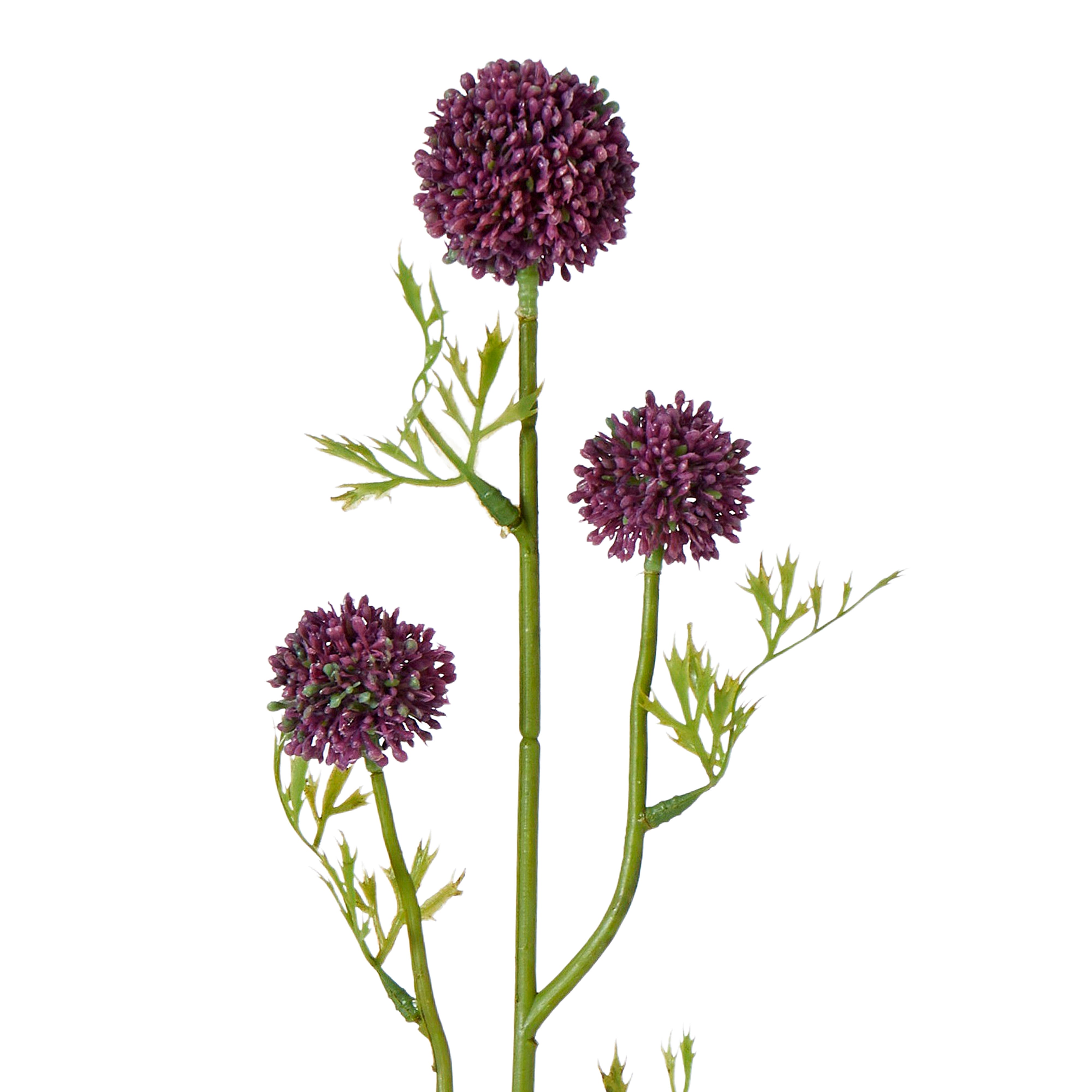 Rogue Mini Allium Stem Dark Purple
