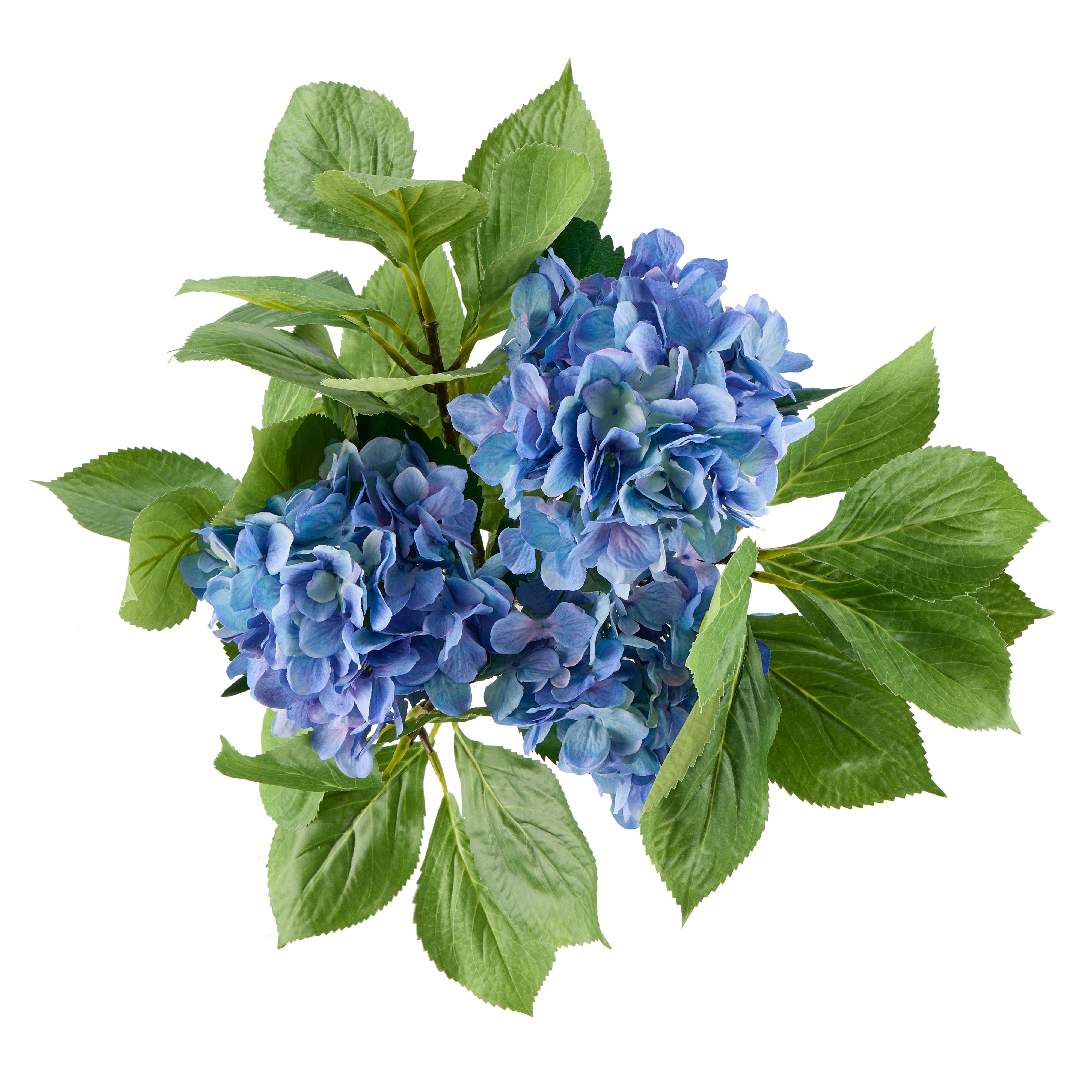 Rogue Hydrangea Vivid Leaf Bouquet Blue