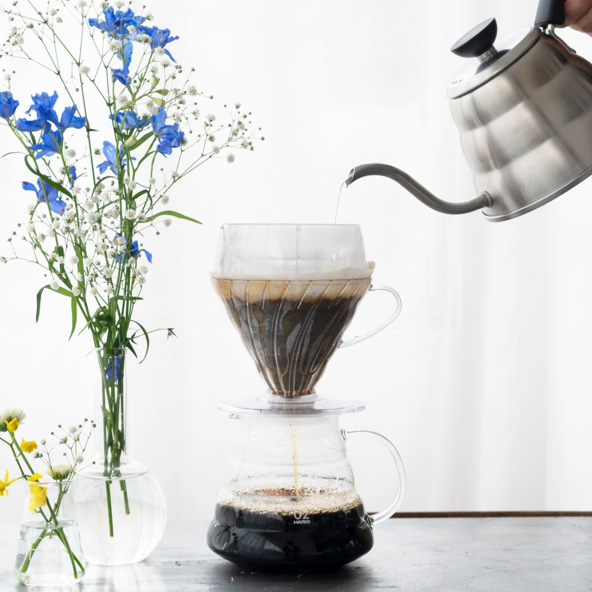 Hario V60 Drip Assist