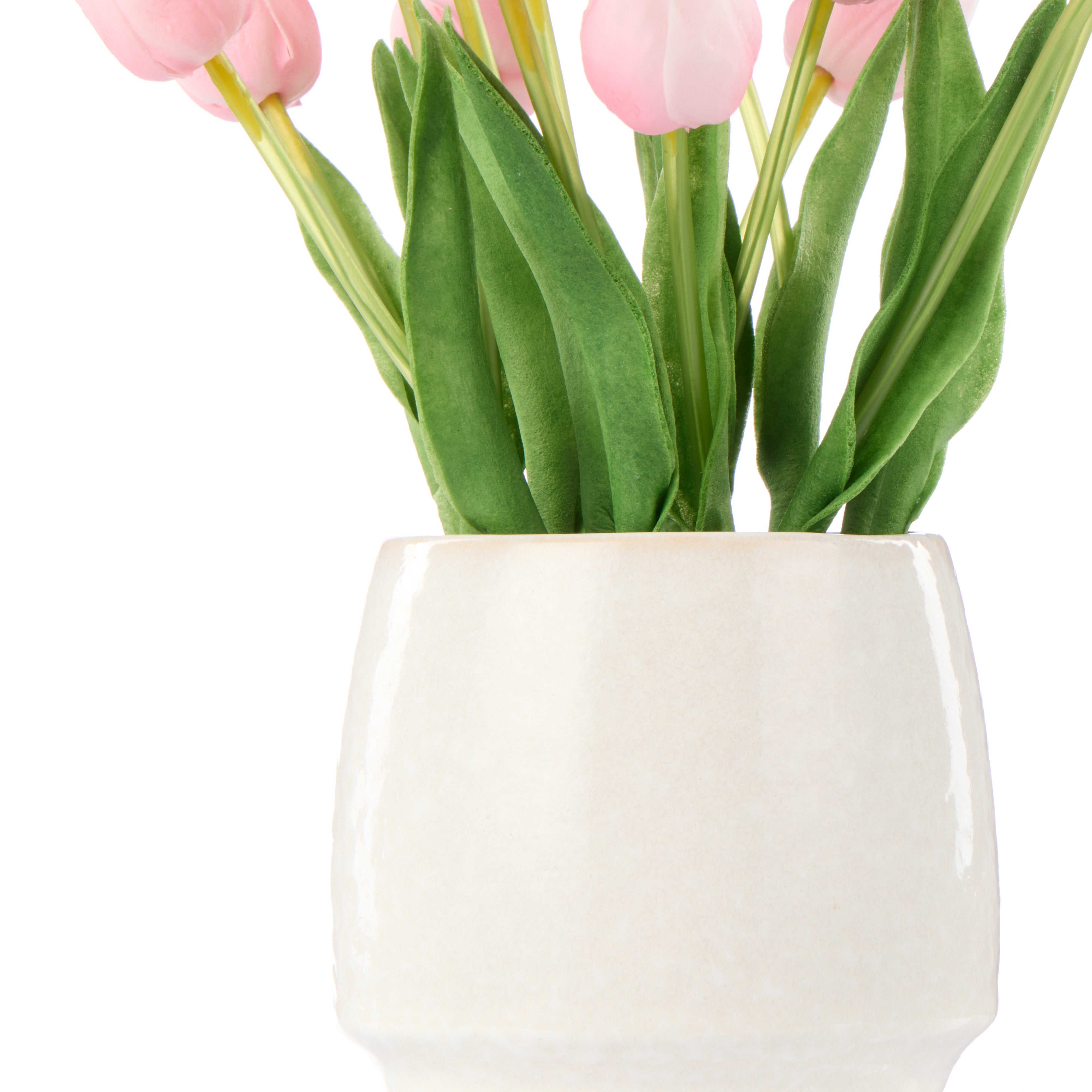 Rogue Tulip Bunch - Gianna Pot