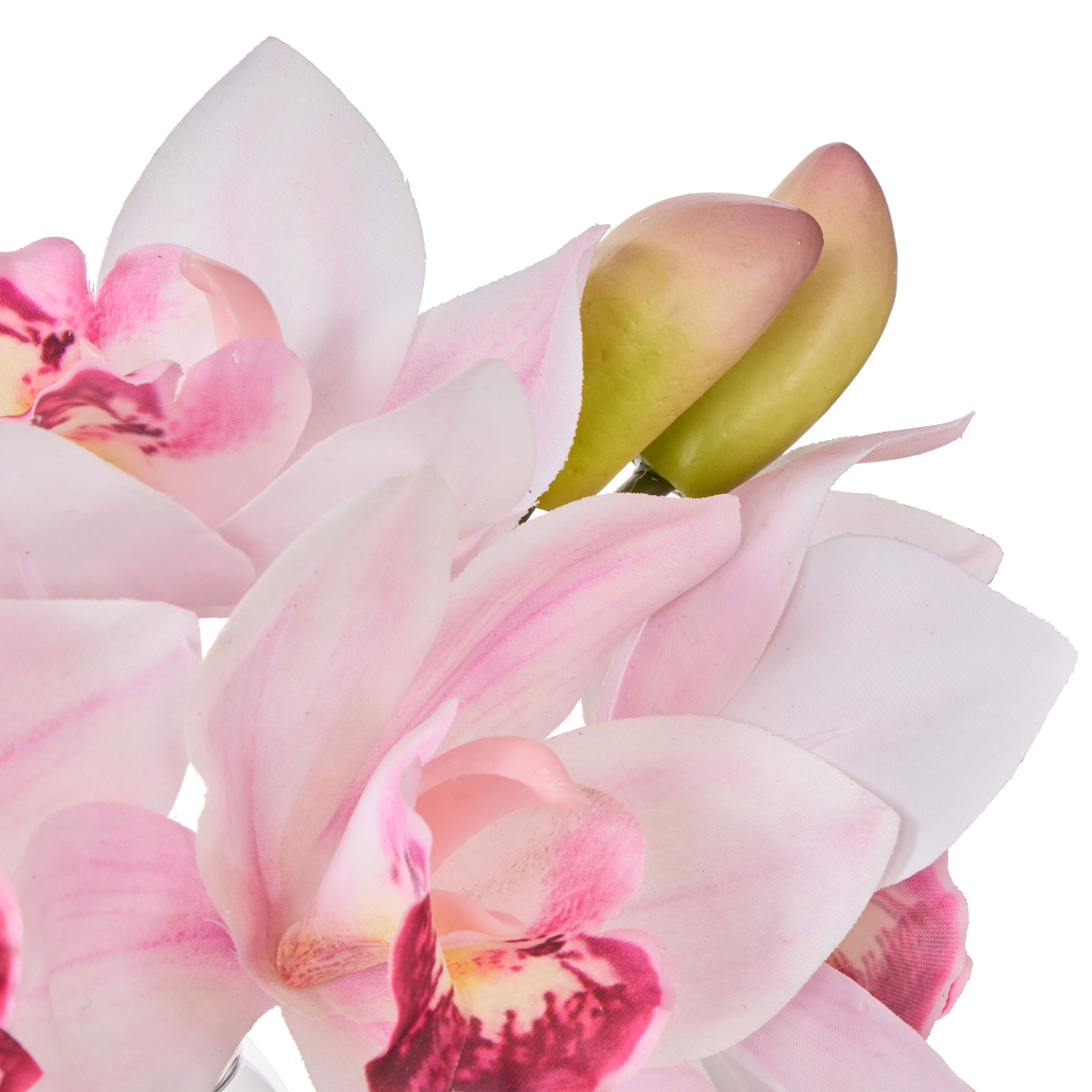 Rogue Cymbidium-Glass Vase Pink 20cm