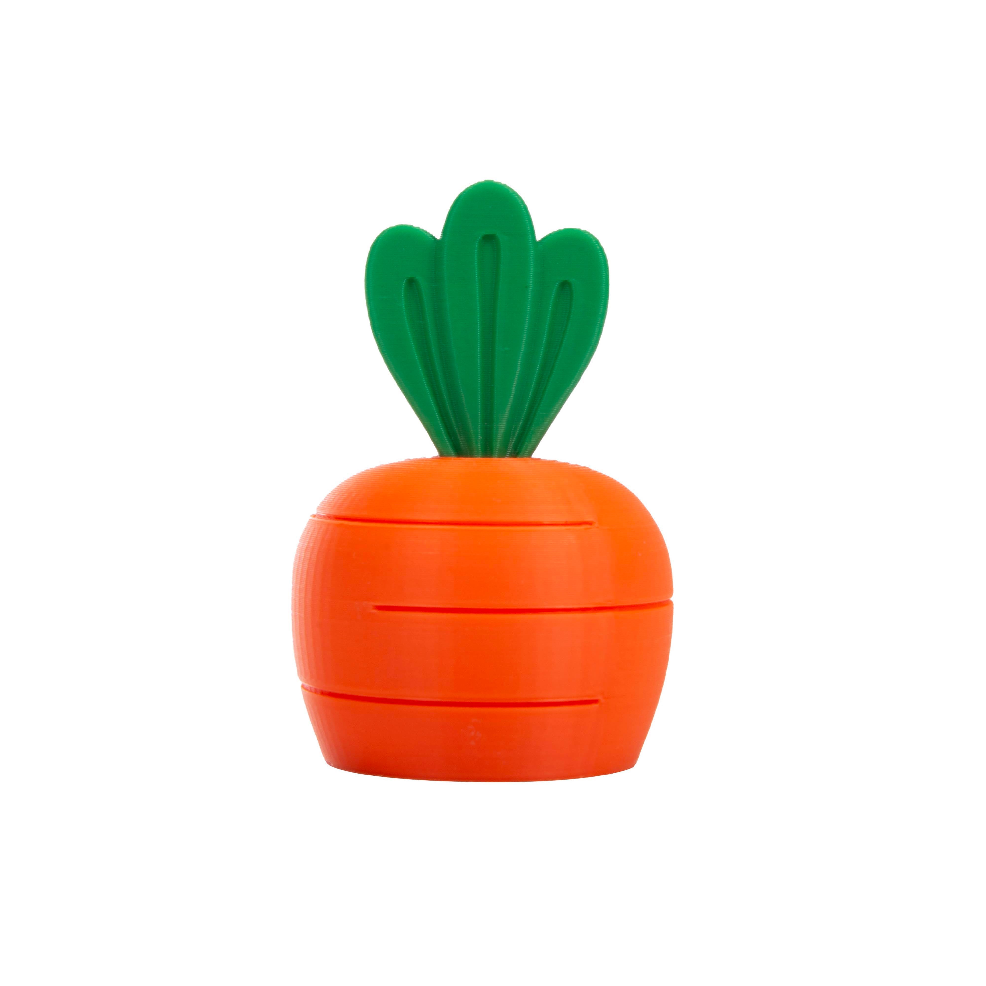 Discovery Zone 3D Sensory Carrot