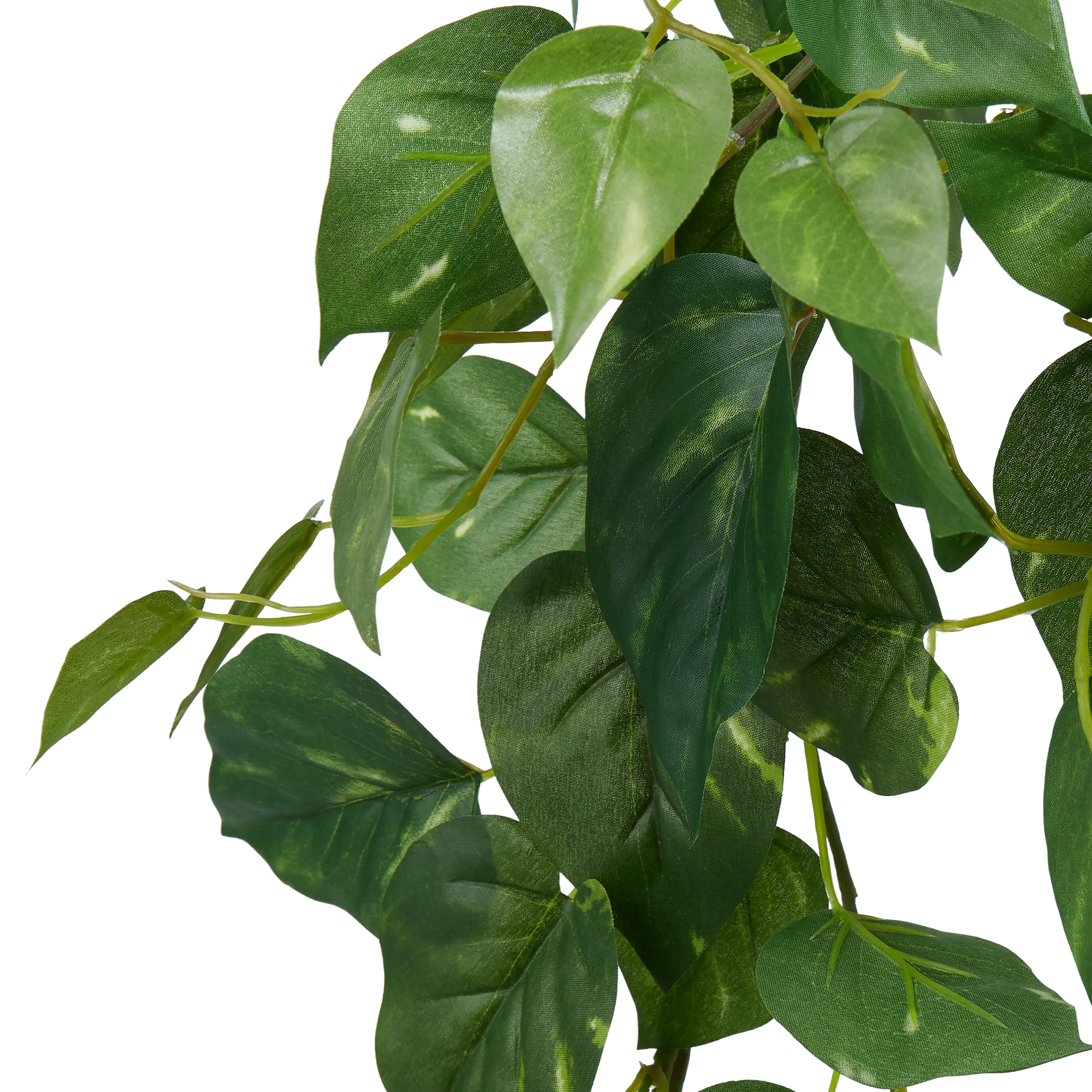 Rogue Pothos Hanging Bush Variegated 89cm