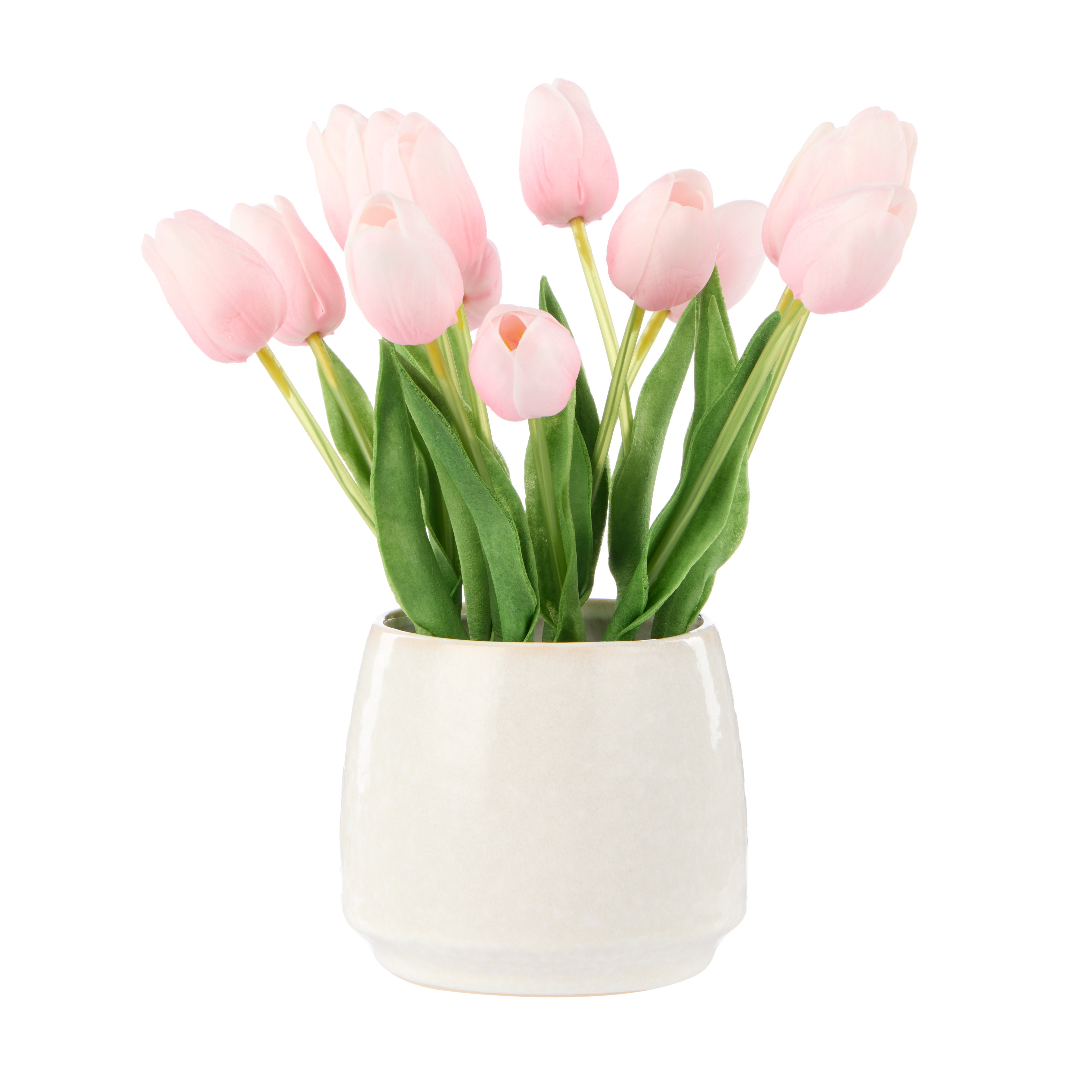 Rogue Tulip Bunch - Gianna Pot