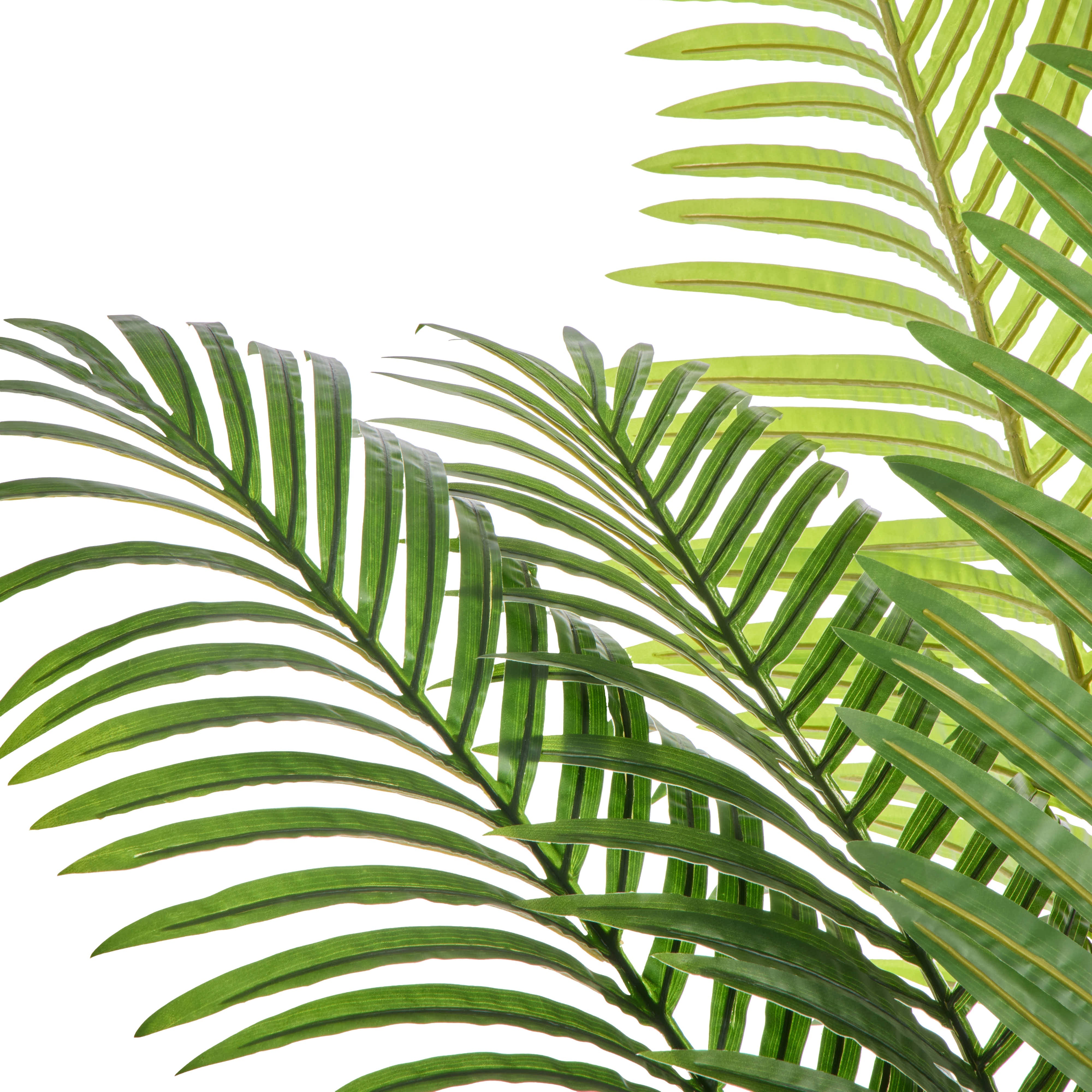 Rogue Areca Palm - Cylinder UV Green 189cm