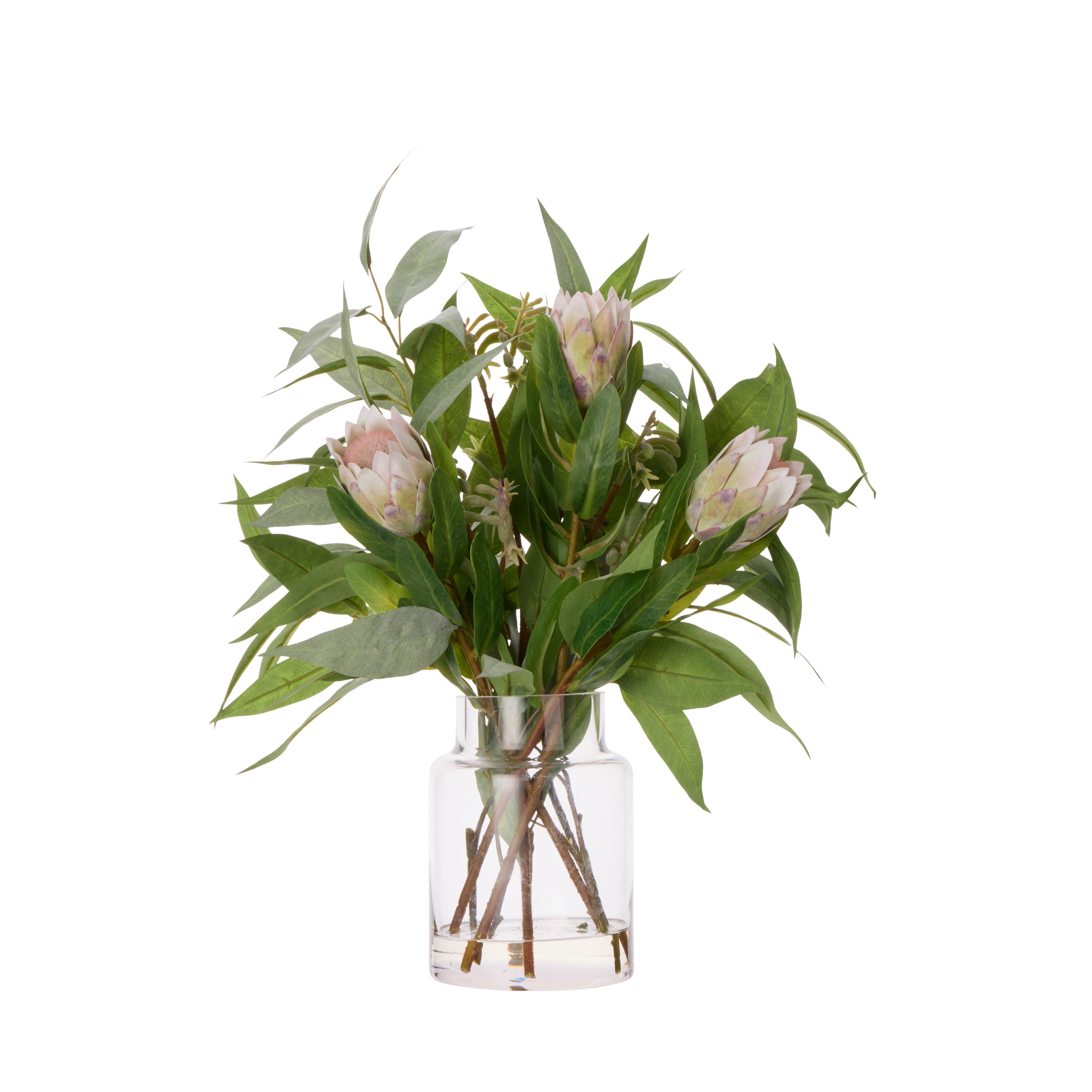 Rogue Pitaya Kangaroo Paw - Pail Vase Cream & Green