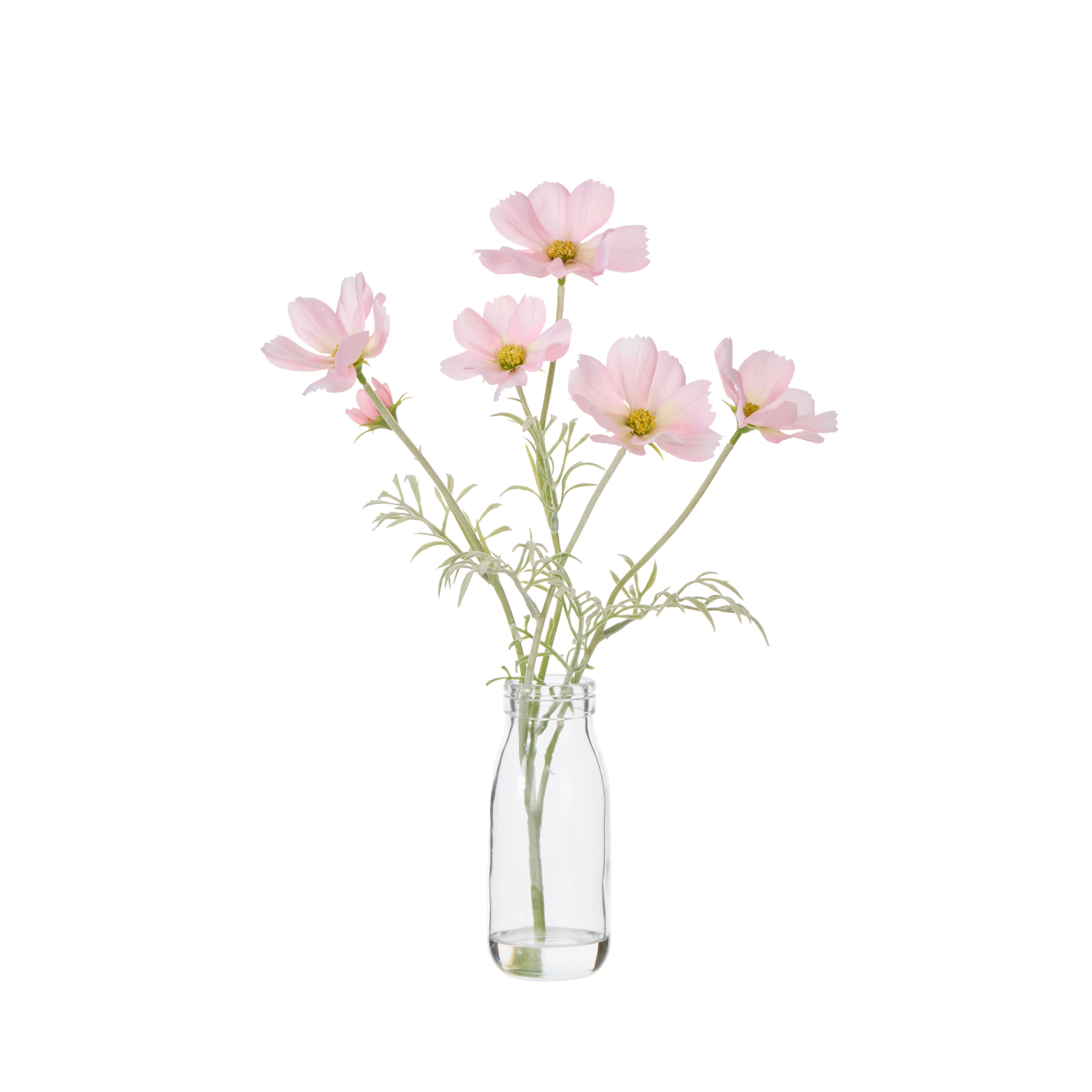 Rogue Cosmos in Milk Bottle Pink