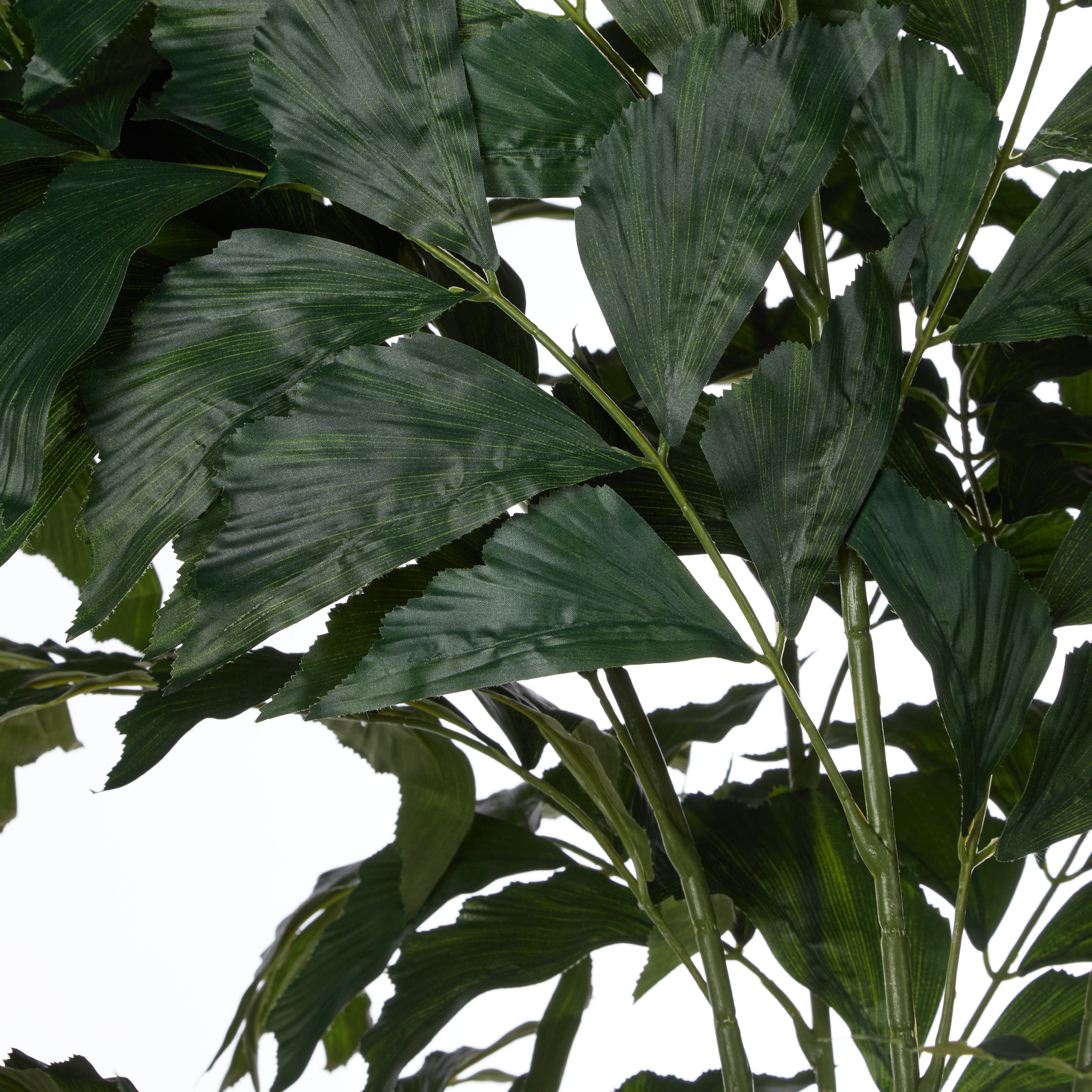 Rogue Caryota Palm Tree - Vienna Planter