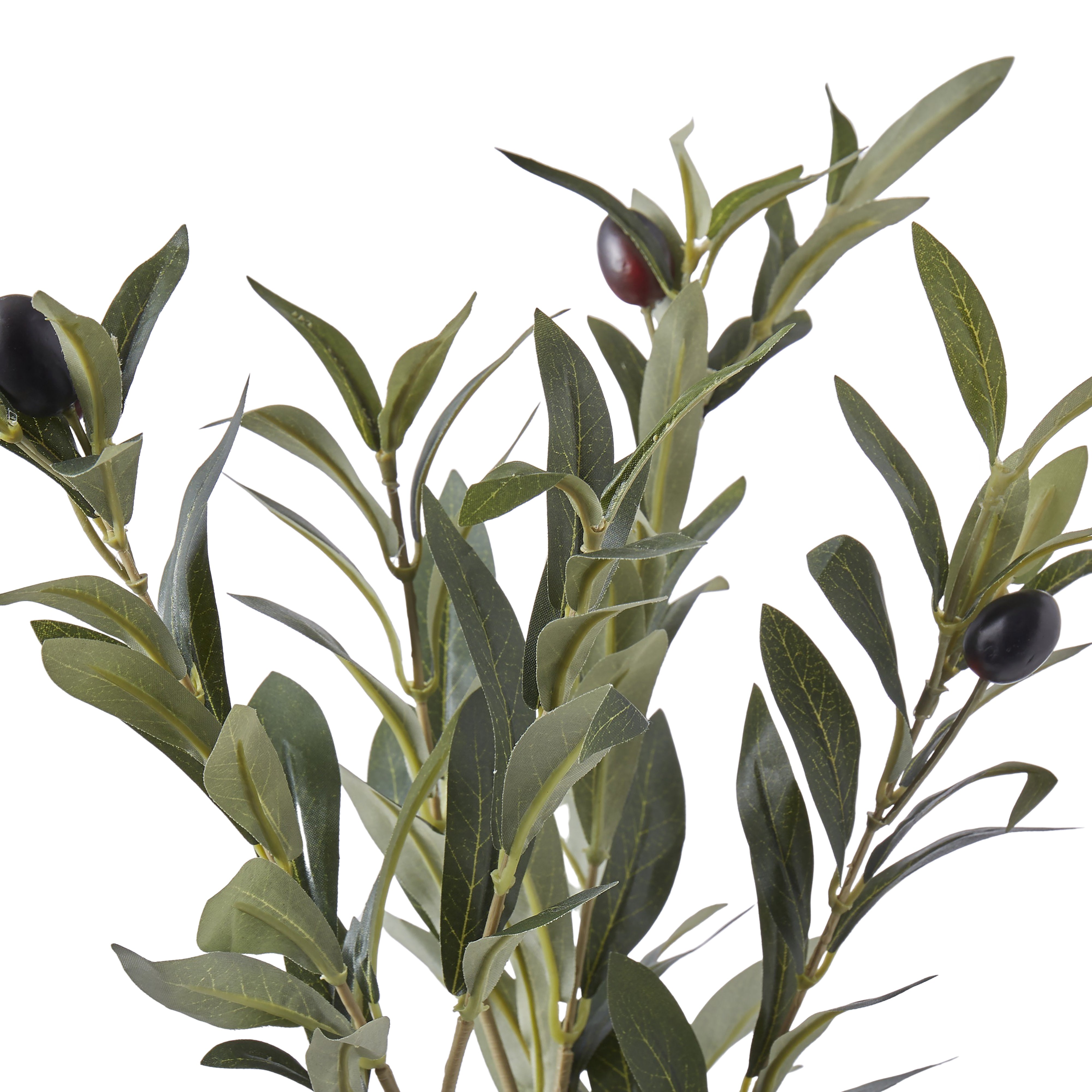 Rogue Olive Spray 72cm