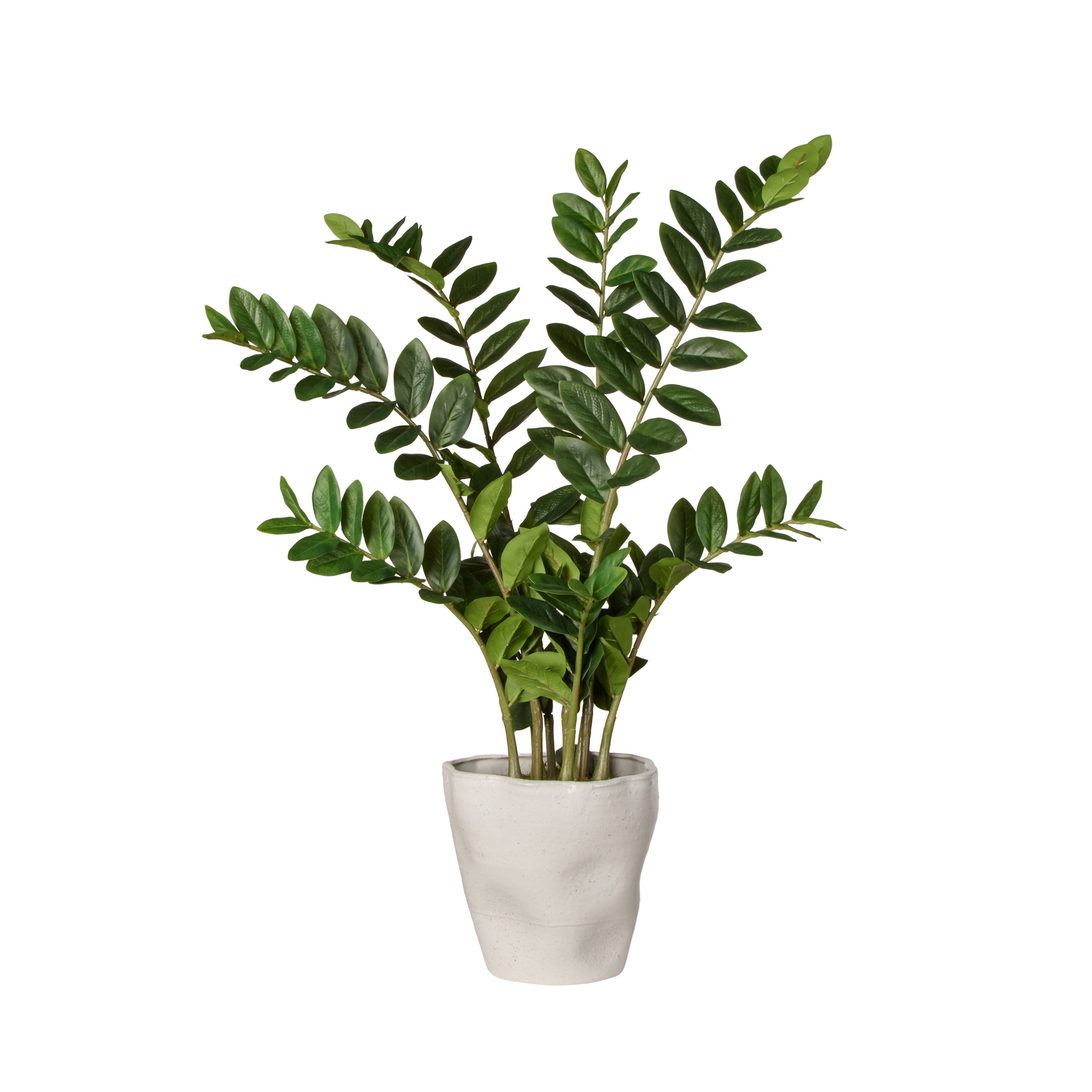 Rogue Zanzibar - Nora Green 95cm
