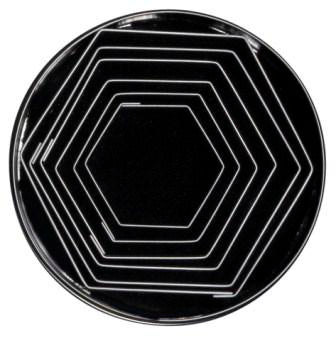 LOYAL Hexagon Cutter Set Plain